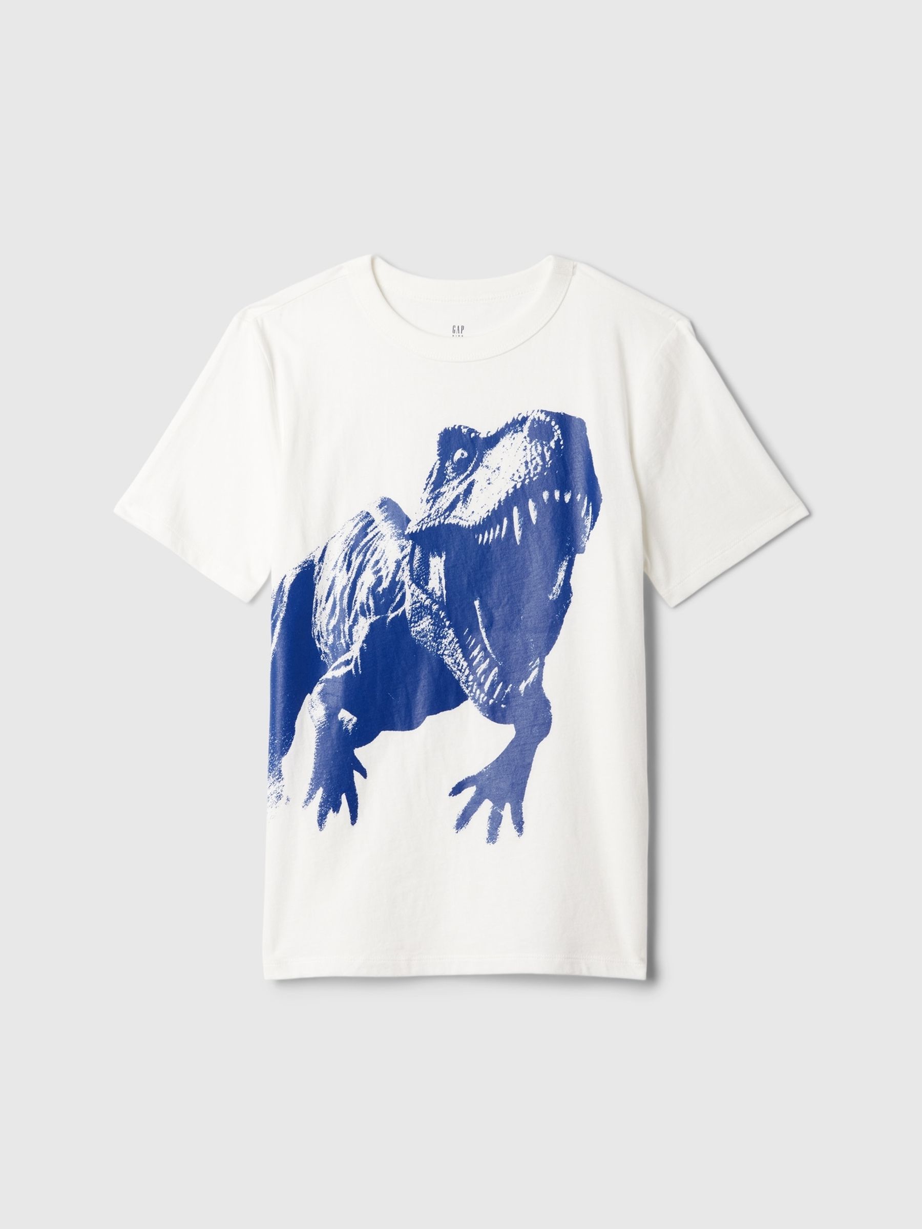 White Dinosaur Short Sleeve Graphic T-Shirt (4-13yrs) - Image 1 of 2