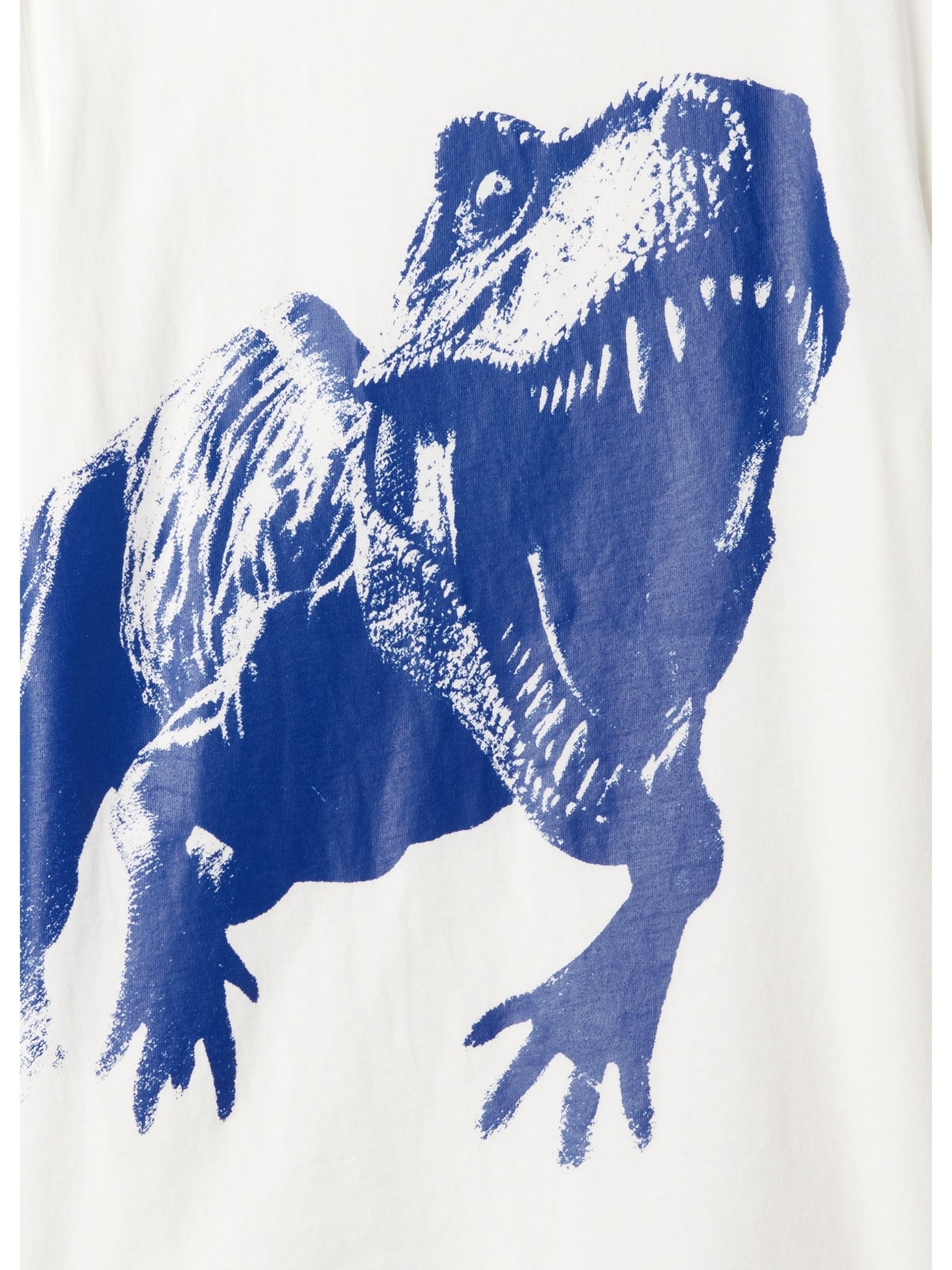 White Dinosaur Short Sleeve Graphic T-Shirt (4-13yrs) - Image 2 of 2