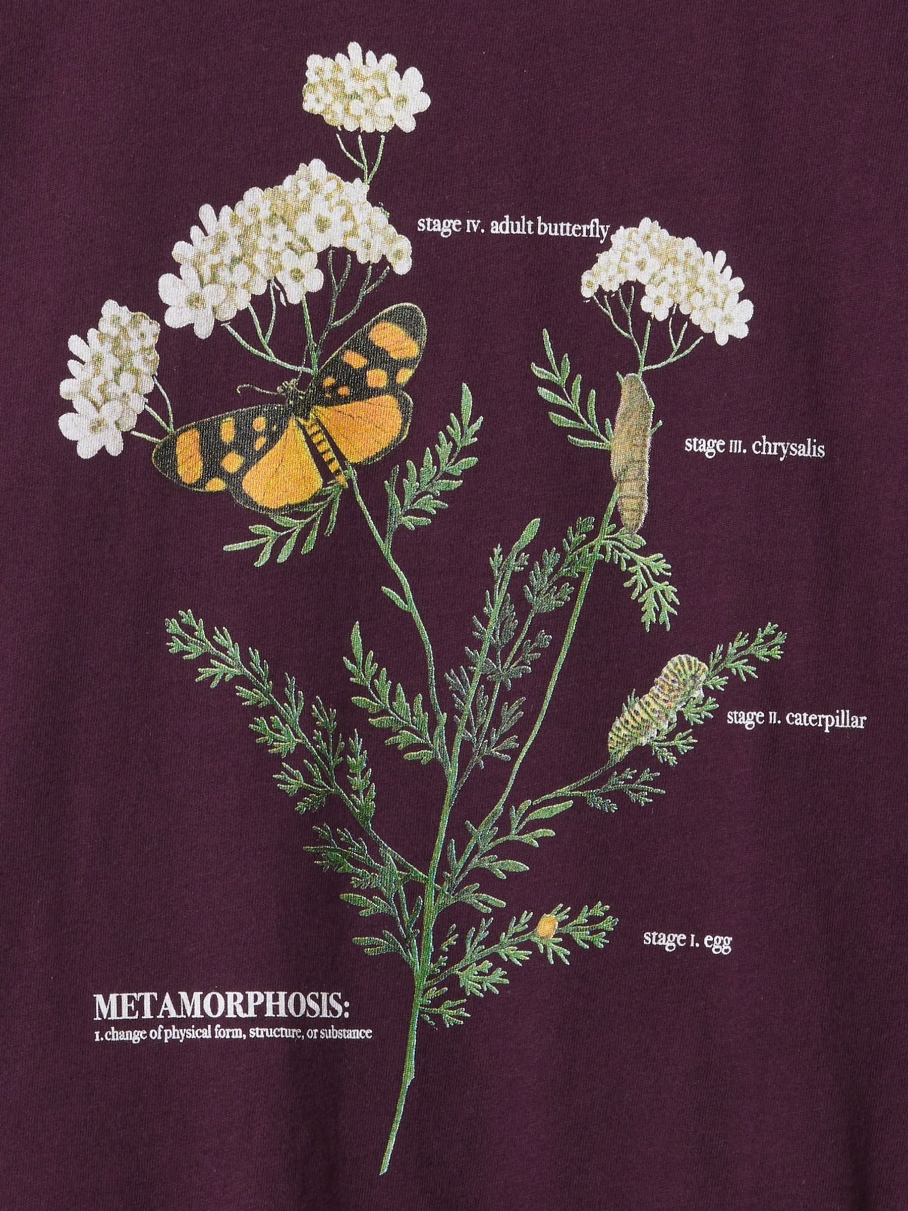 Purple Floral Graphic T-Shirt (4-13yrs) - Image 4 of 4