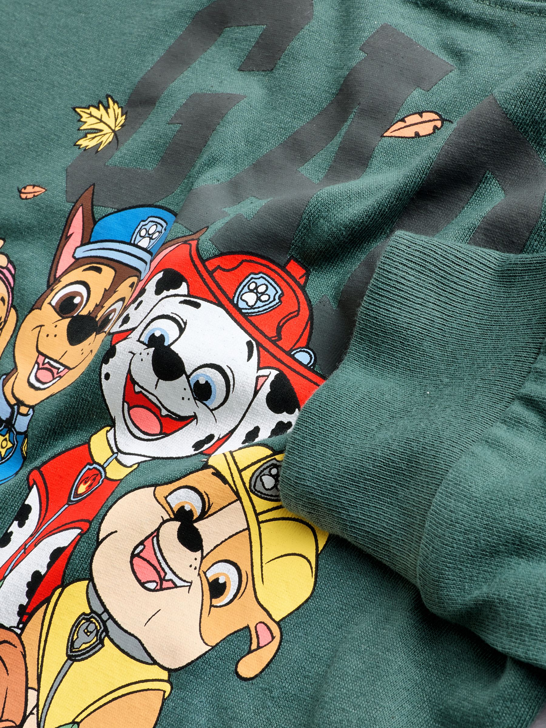 Green Paw Patrol Graphic Logo Long Sleeve T-Shirt (6mths-5yrs) - Image 4 of 4