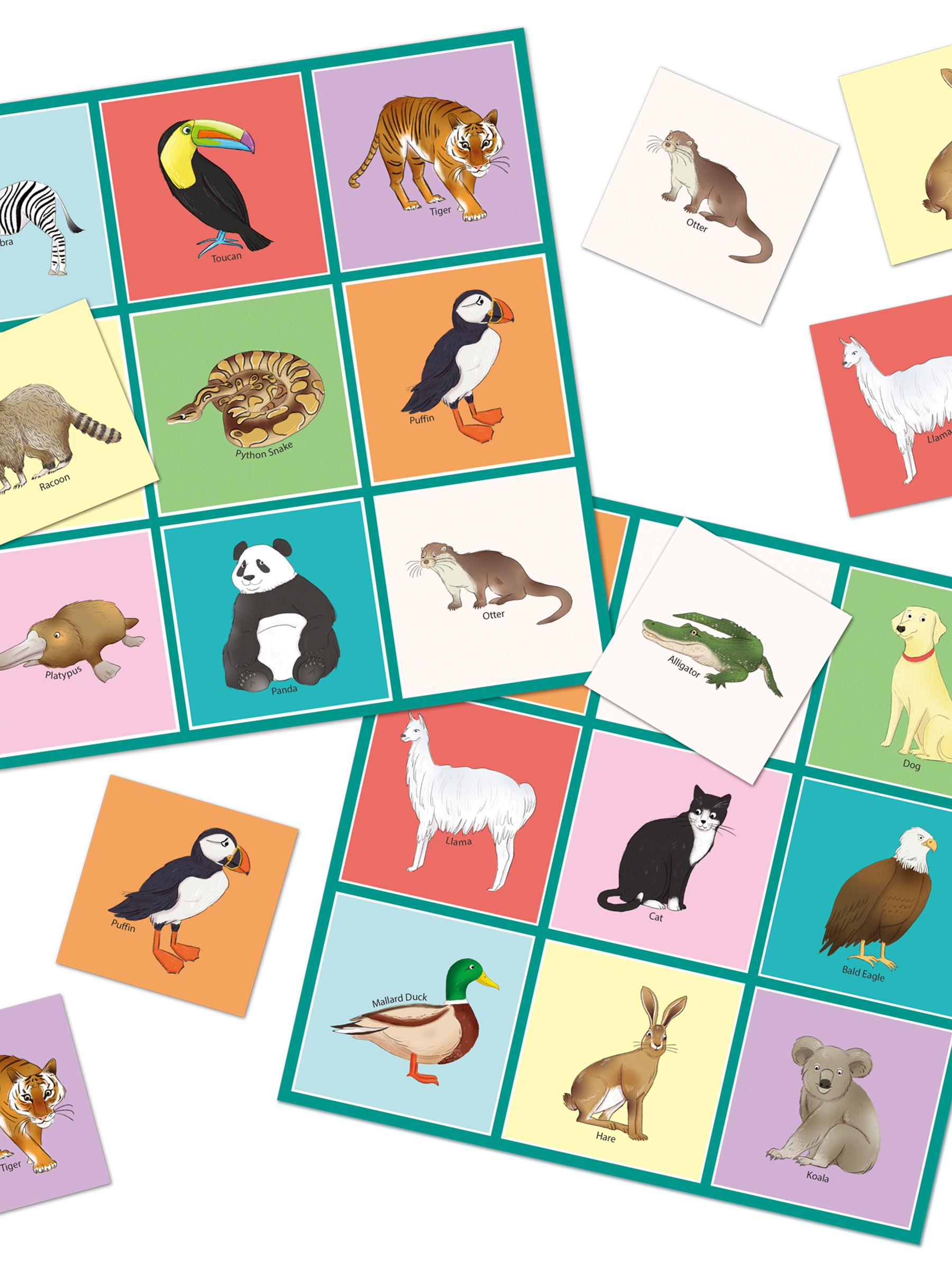 Galt Toys Natural History Museum Let's Learn Animals - Image 6 of 6