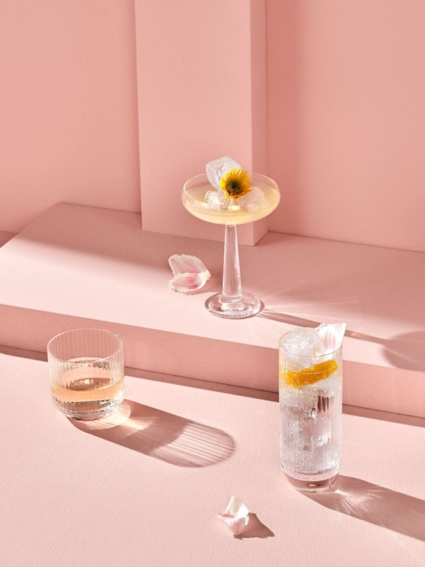 Nude Set of 2 Clear Big Top Coupe Glasses - Image 7 of 11