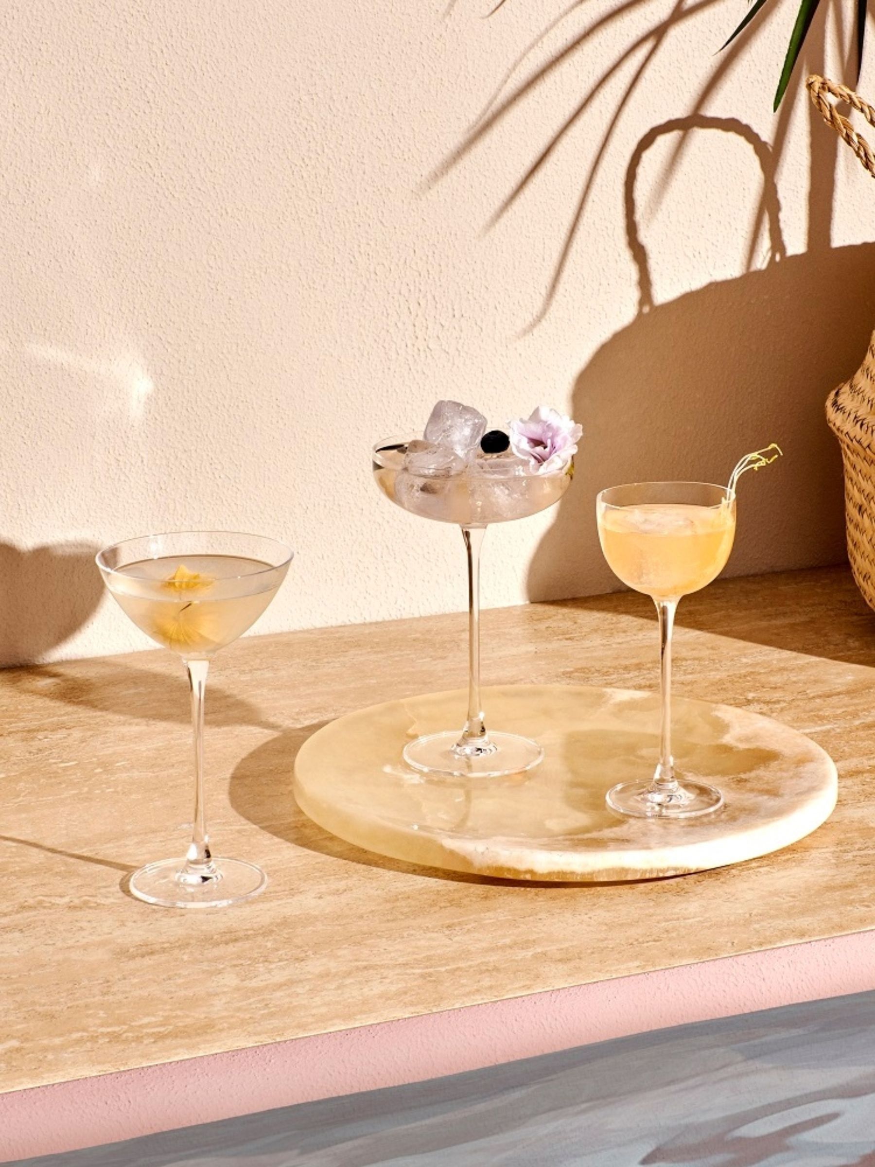 Nude Set of 2 Clear Savage Coupetini Glasses - Image 7 of 7