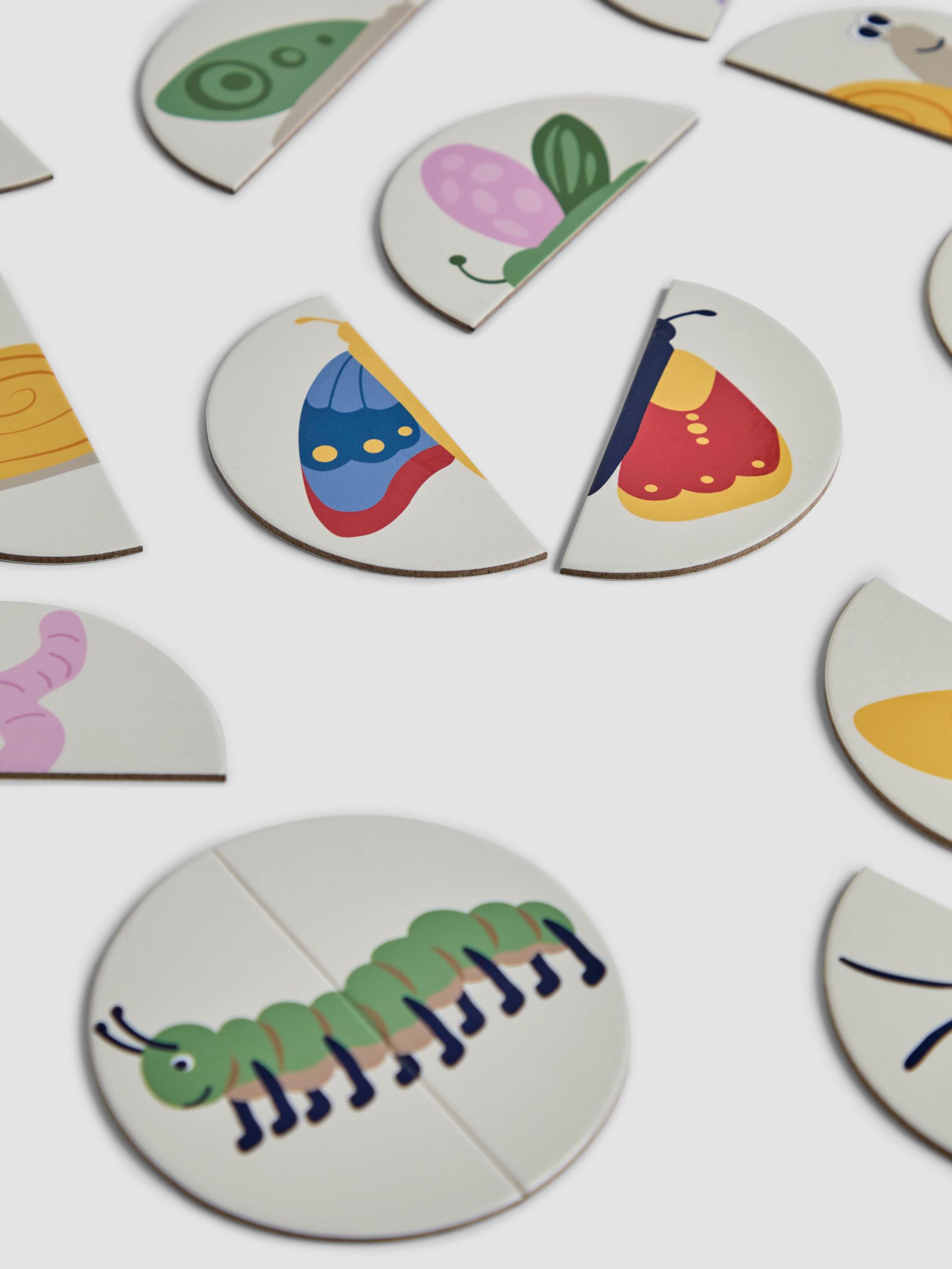 Bug Matching Game - Image 2 of 3