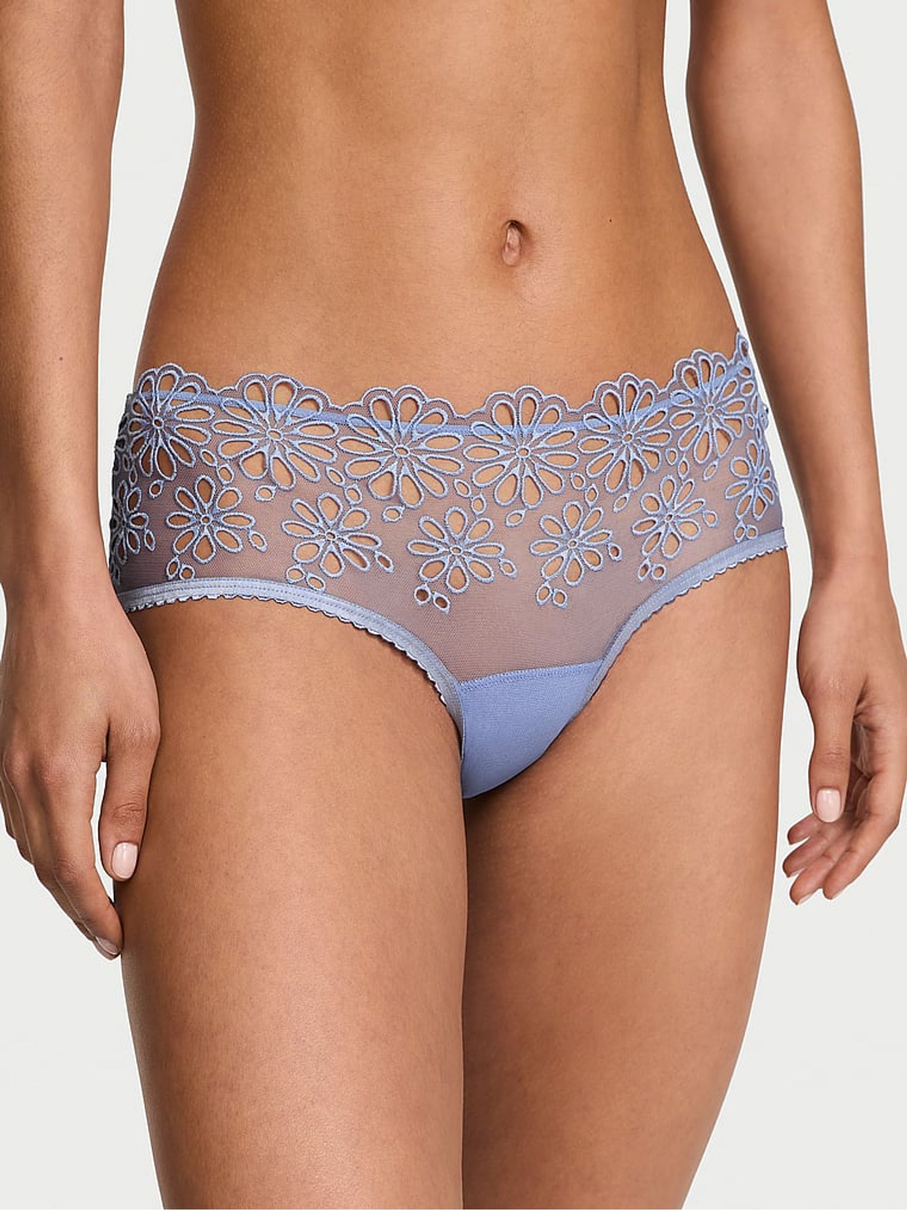Smokey Blue Cheeky Eyelet Mesh Knickers - Image 1 of 5
