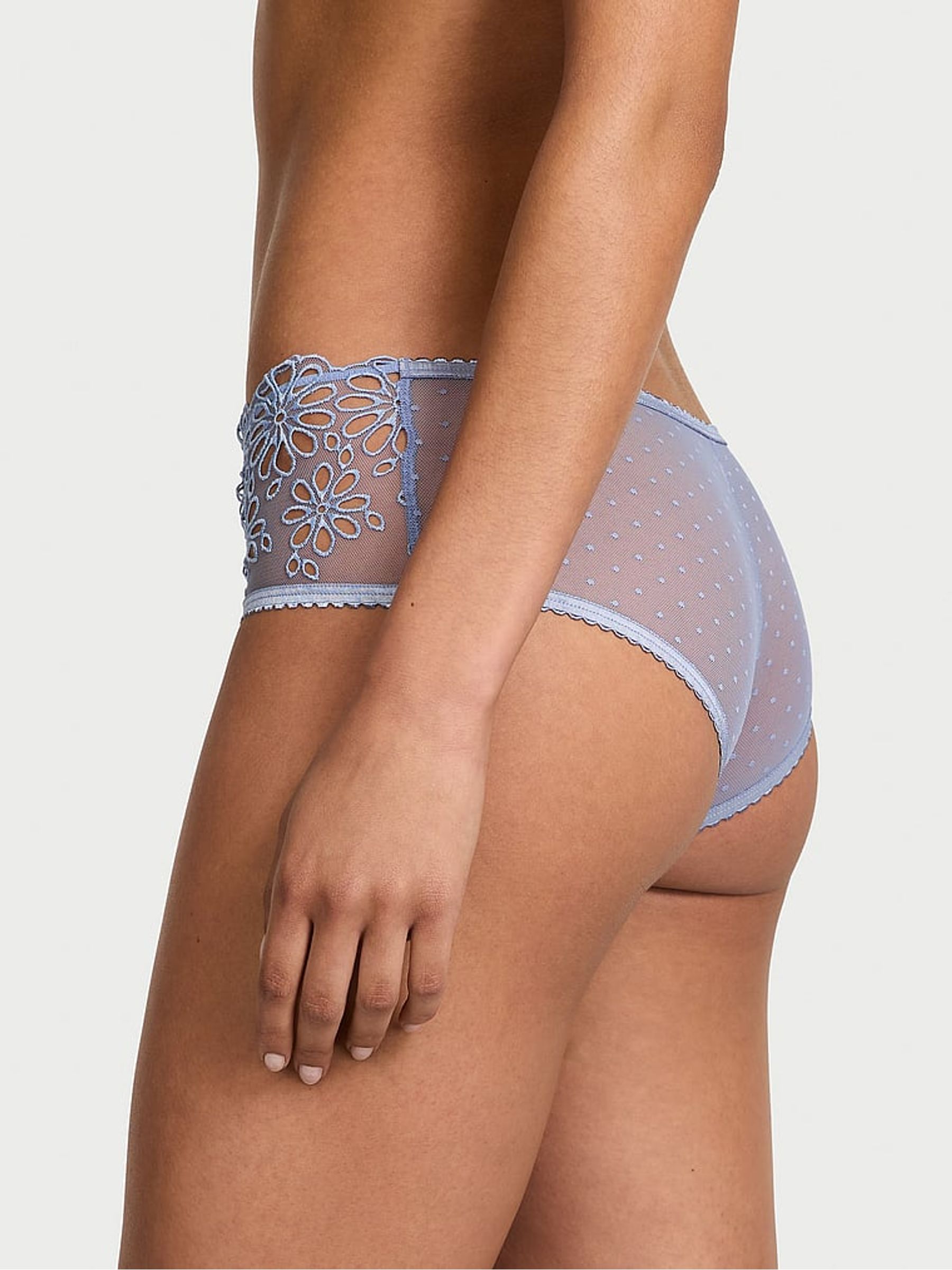 Smokey Blue Cheeky Eyelet Mesh Knickers - Image 2 of 5