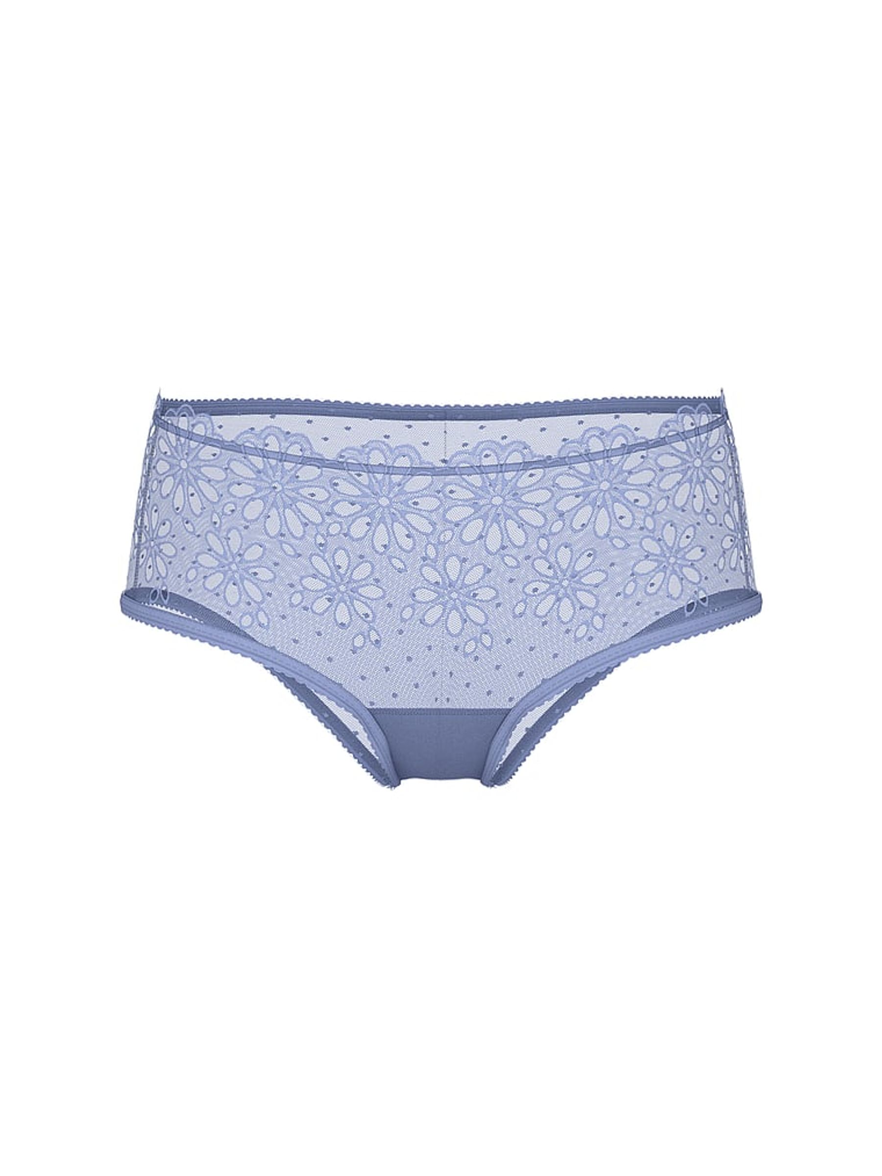 Smokey Blue Cheeky Eyelet Mesh Knickers - Image 5 of 5