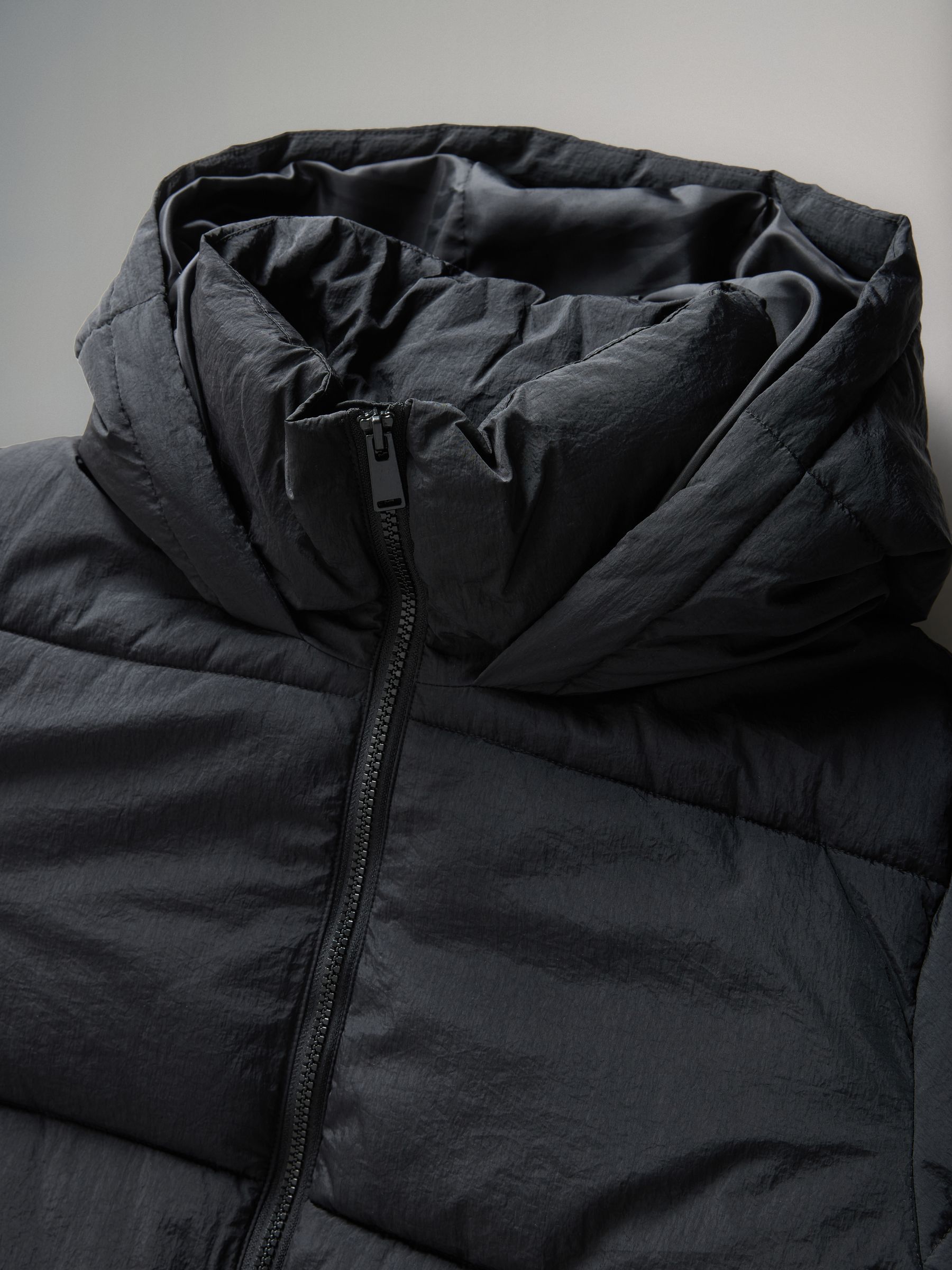Black - Short Padded Coat - Image 5 of 6