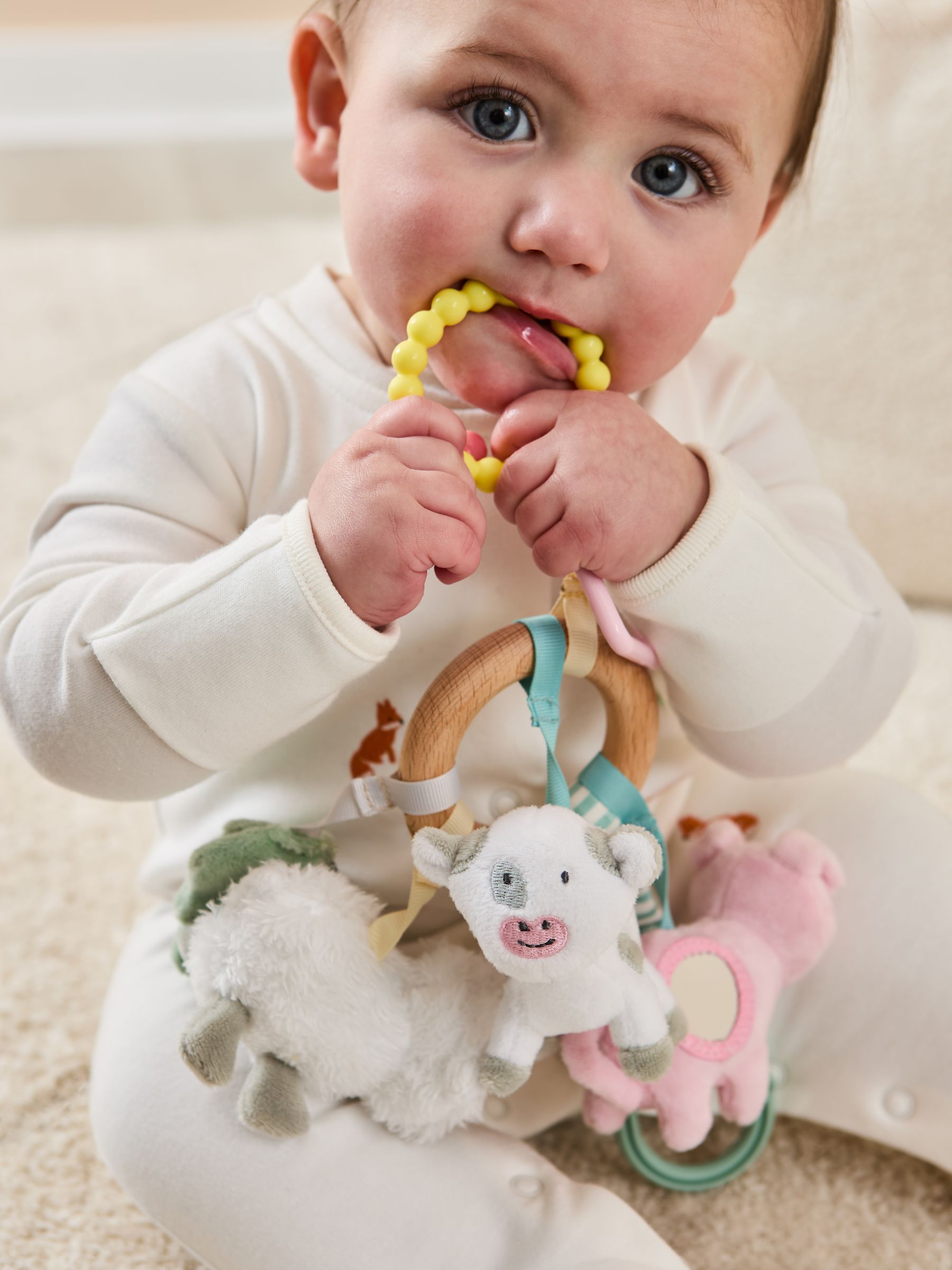 Farmyard Activity Ring - Image 1 of 5