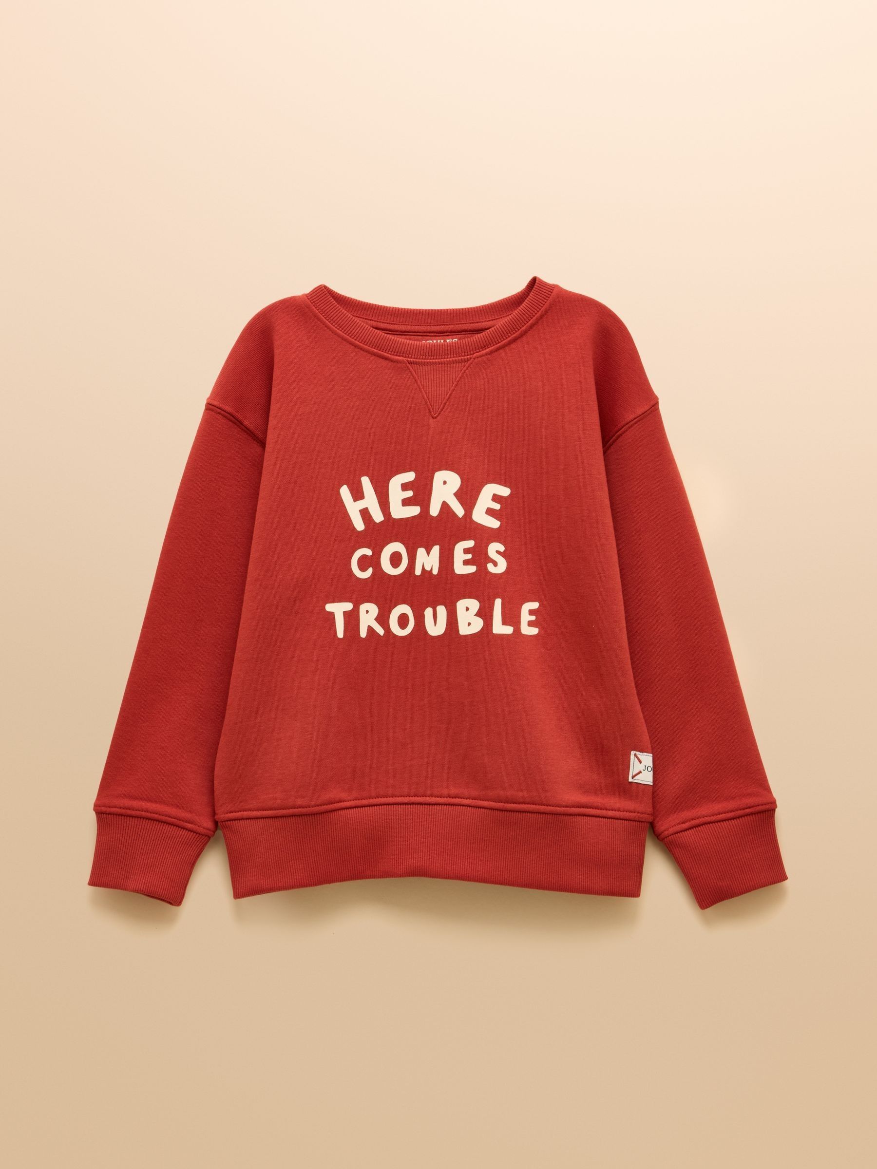 Kids' Sundaze Rust Red Slogan Crew Neck Sweatshirt - Image 4 of 8