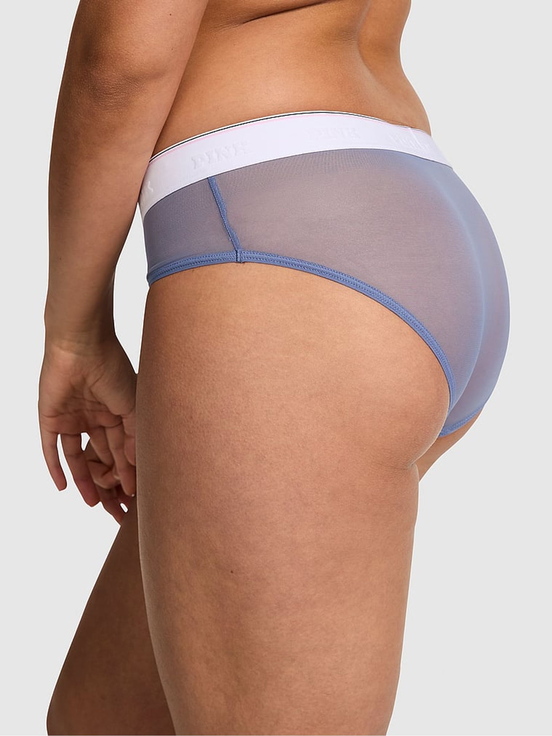 Dusty Iris Blue Hipster Logo Mesh Knickers - Image 2 of 2