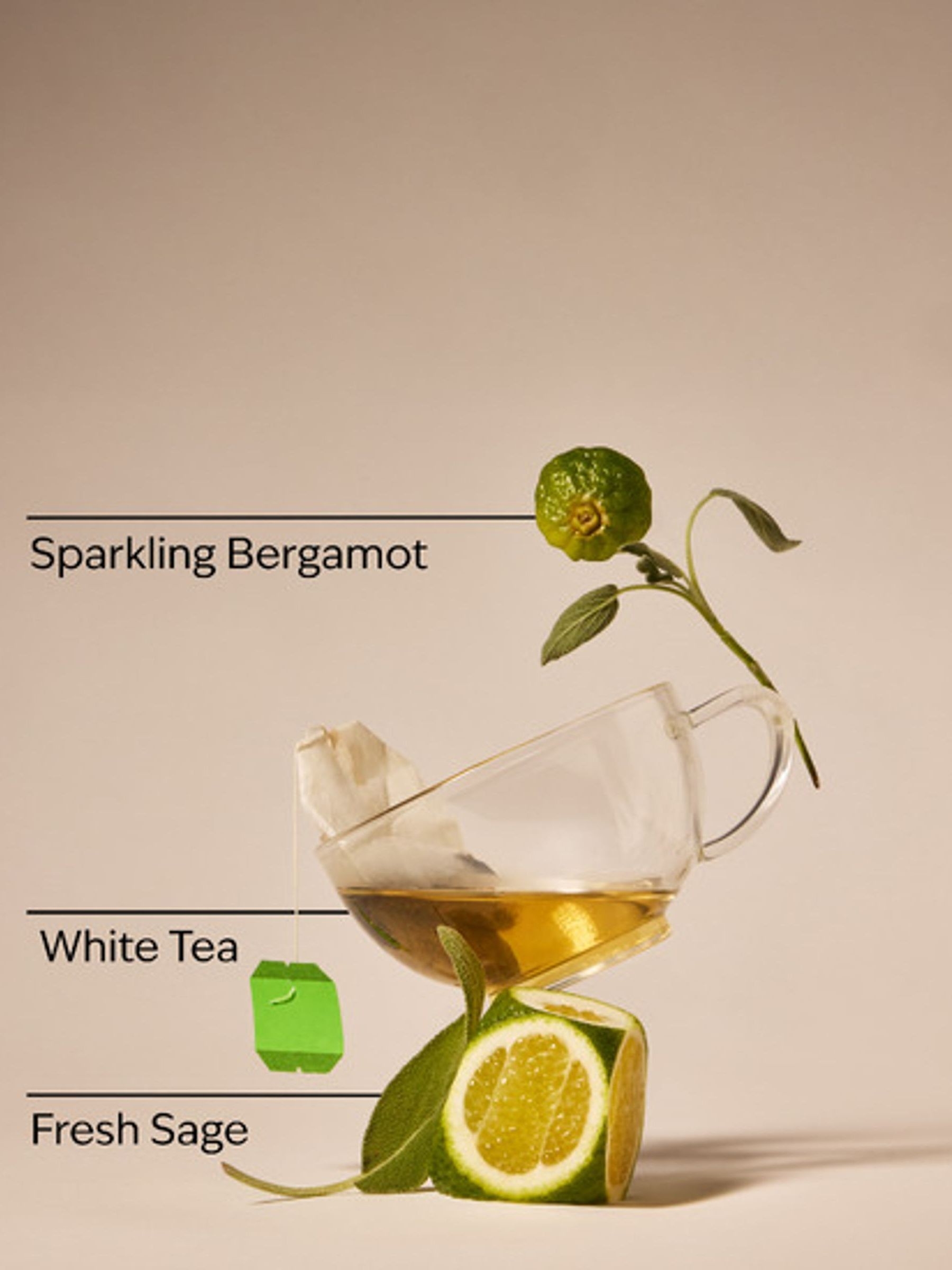 White Tea and Sage Single Wick Candle 227g - Image 2 of 2