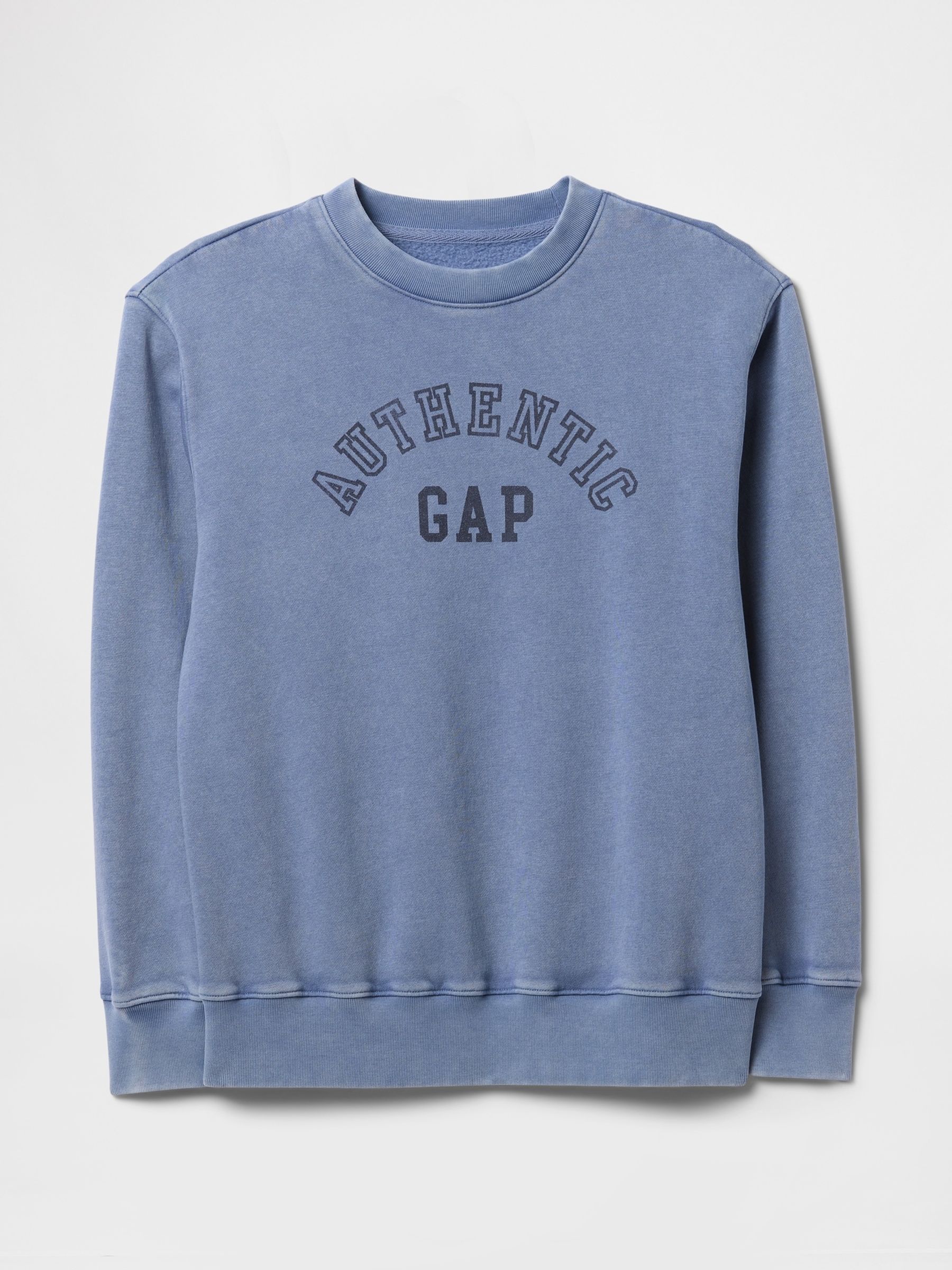 Blue Vintage Soft French Terry Logo Sweatshirt - Image 5 of 5