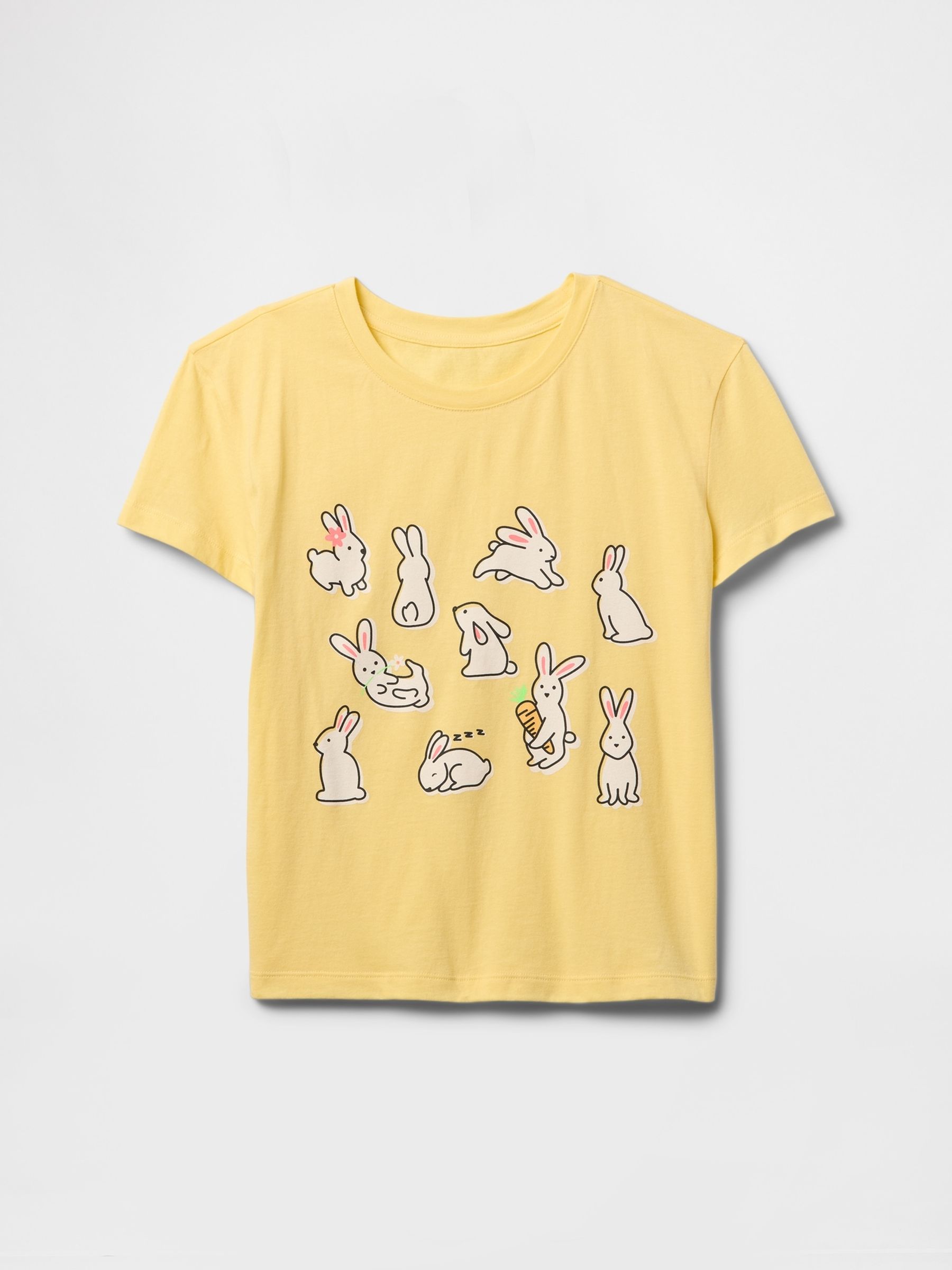 Yellow Rabbit Short Sleeve Crew Neck Graphic T-Shirt (4-13yrs) - Image 3 of 4