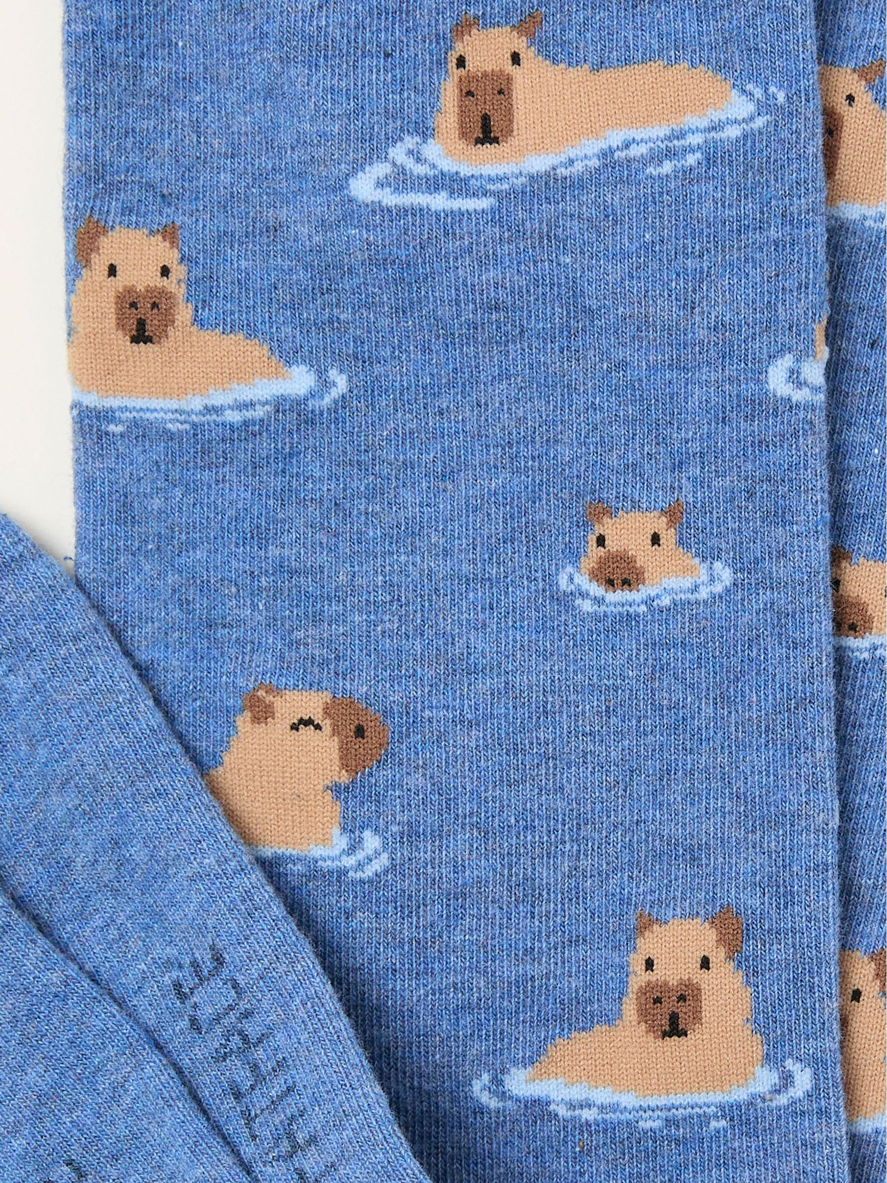 Blue Capybara Socks - Image 2 of 2