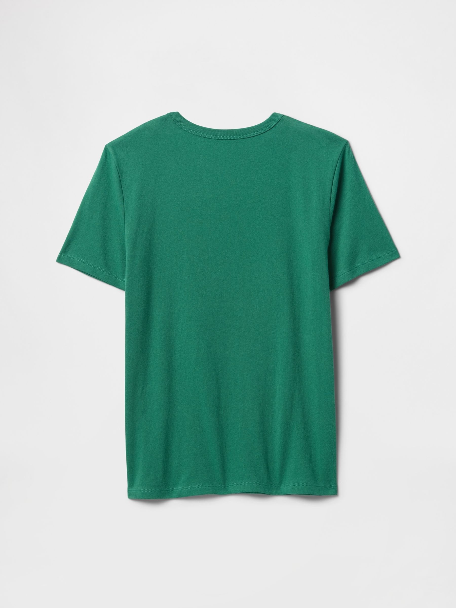 Green Short Sleeve Graphic T-Shirt (4-13yrs) - Image 2 of 3