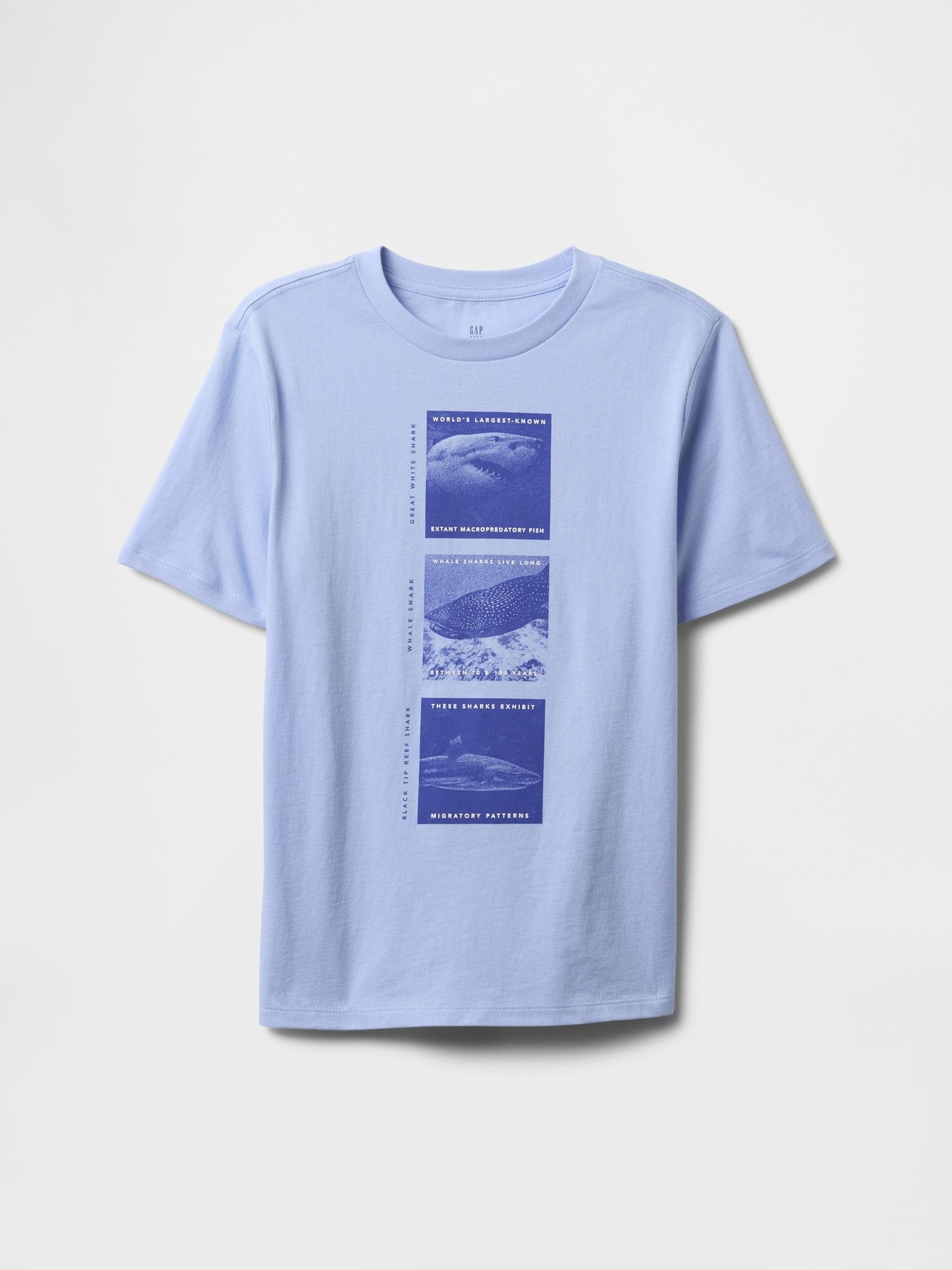 Blue Graphic T-Shirt (4-13yrs) - Image 1 of 2