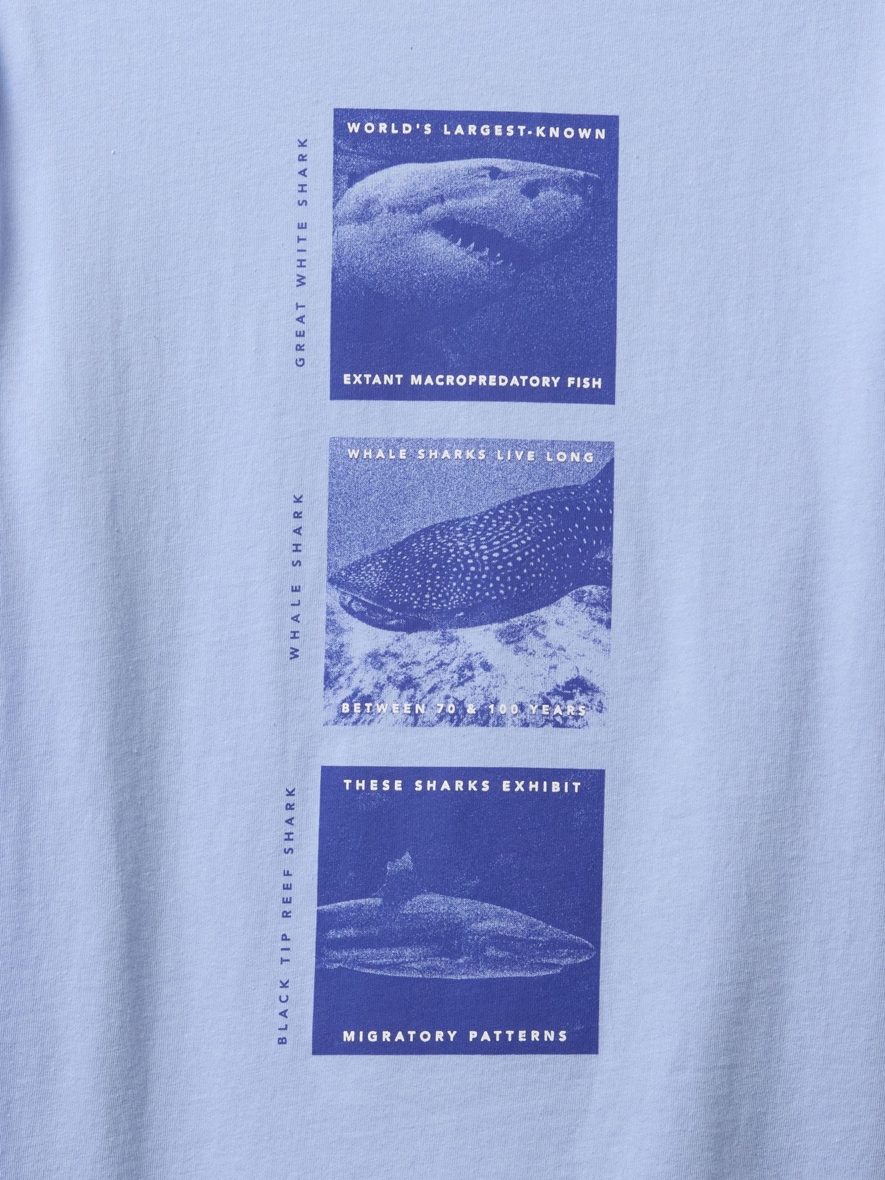 Blue Graphic T-Shirt (4-13yrs) - Image 2 of 2
