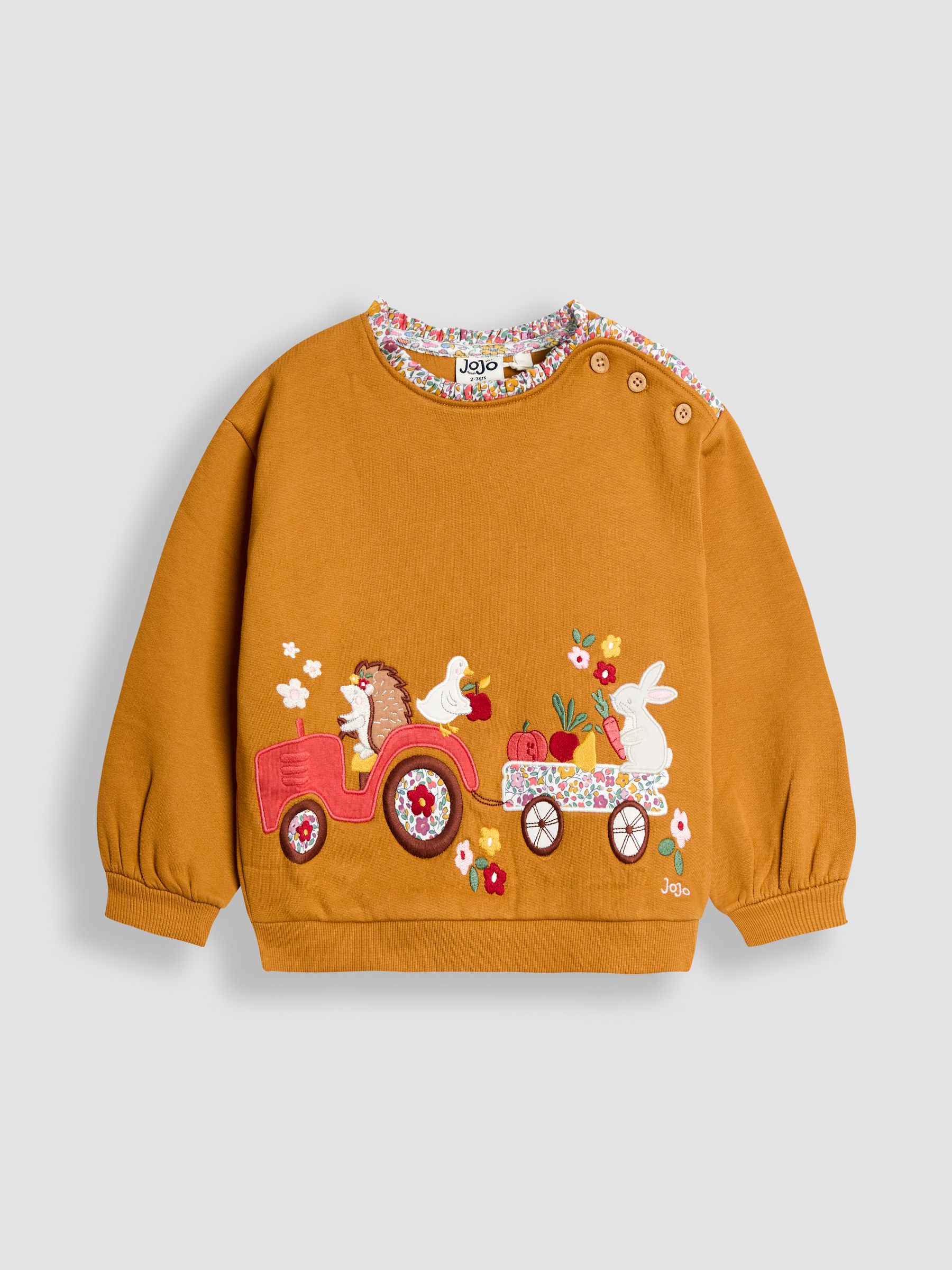 Yellow Woodland Friends Applique Sweatshirt With Frill - Image 1 of 5