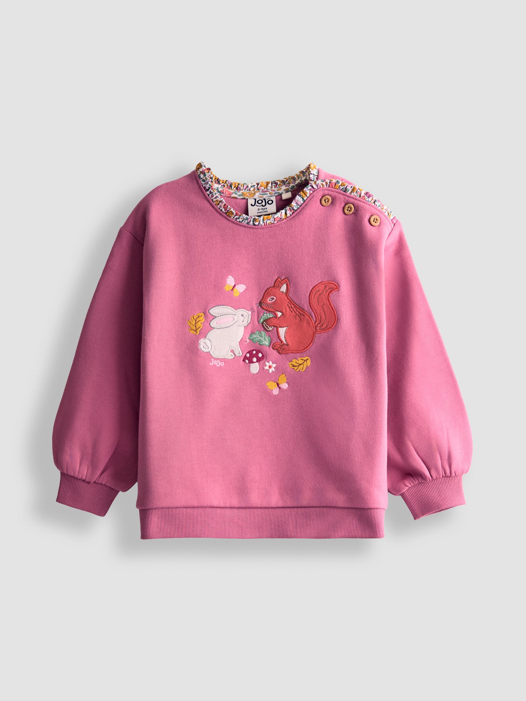 Purple Woodland Friends Applique Sweatshirt With Frill - Image 1 of 3