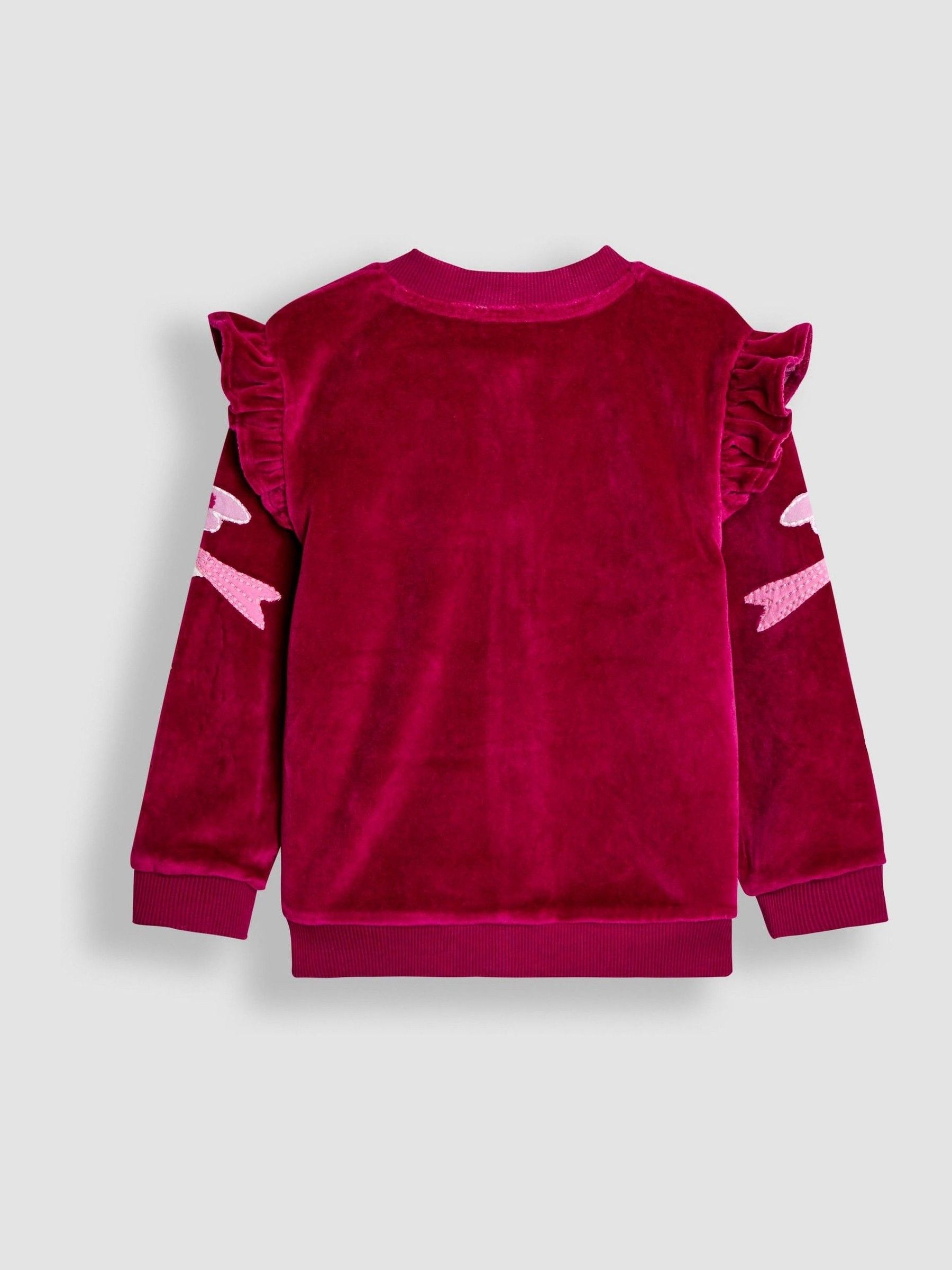 Berry Floral Bird Embroidered Frill Velour Jacket - Image 4 of 4