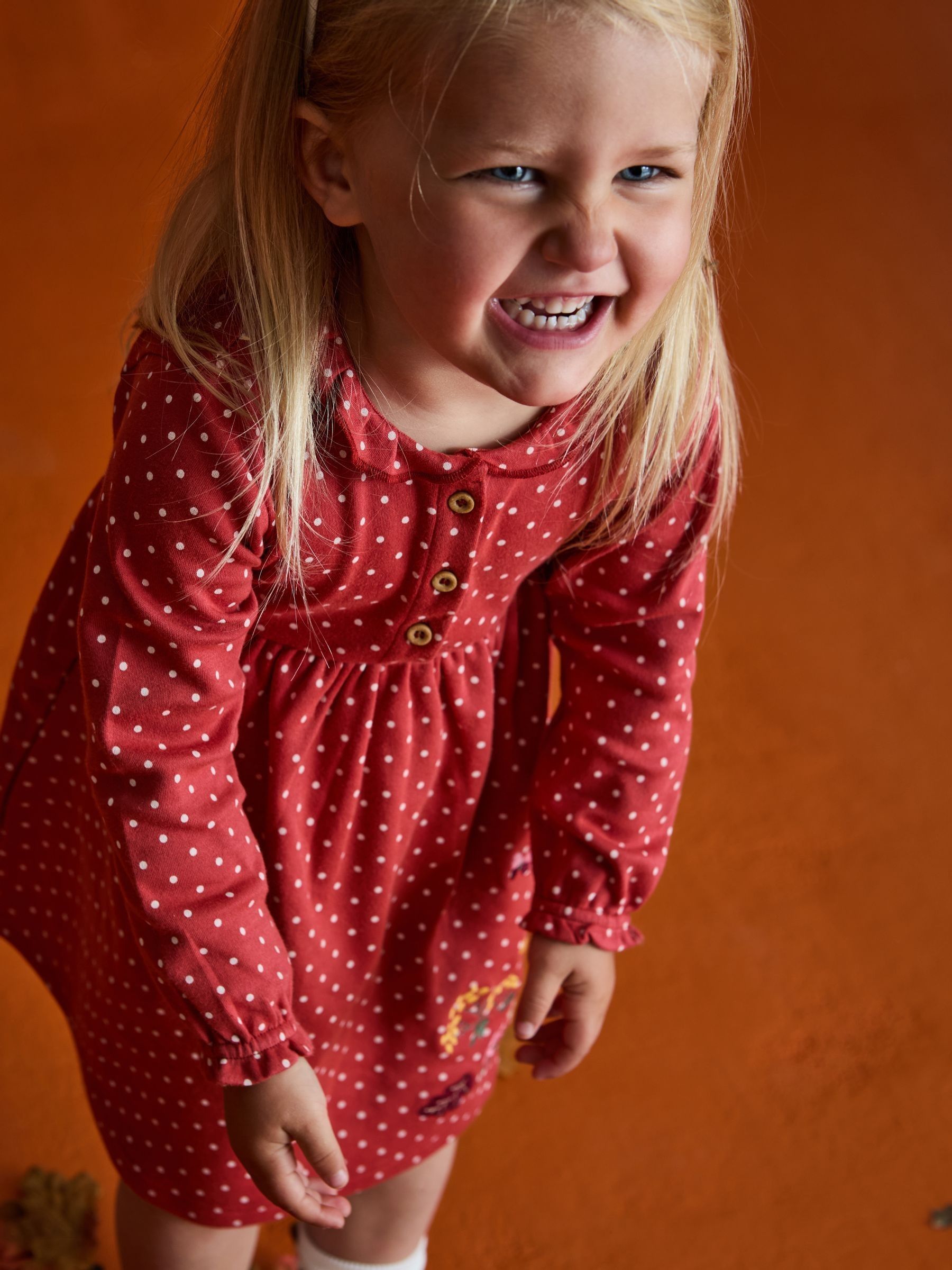 Rust Orange Hedgehog Frill Collar Appliqué Dress - Image 5 of 9