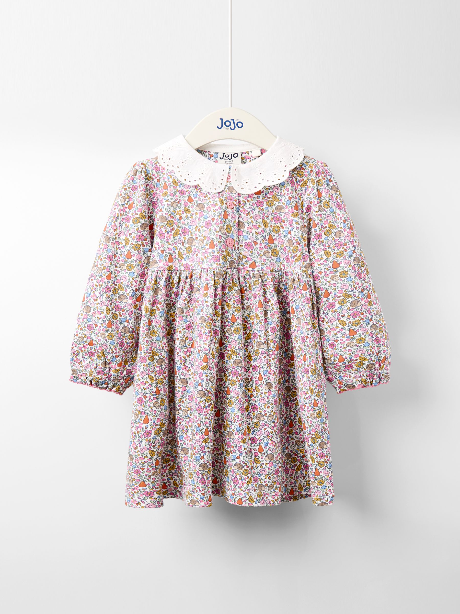 Orange Autumnal Floral Hedgehog Broderie Collar Button Front Dress