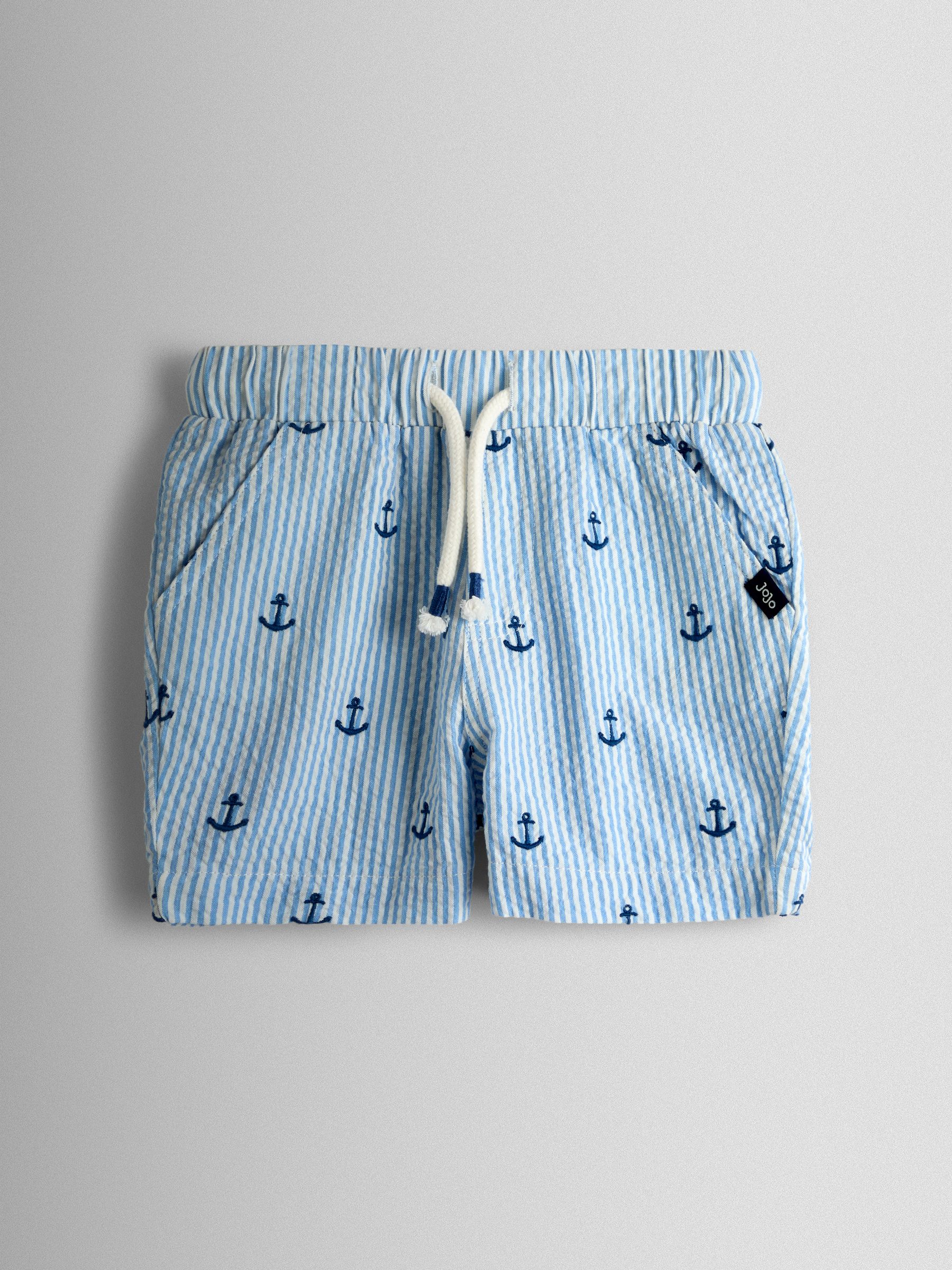 Blue Embroidered Gingham Shorts - Image 1 of 3