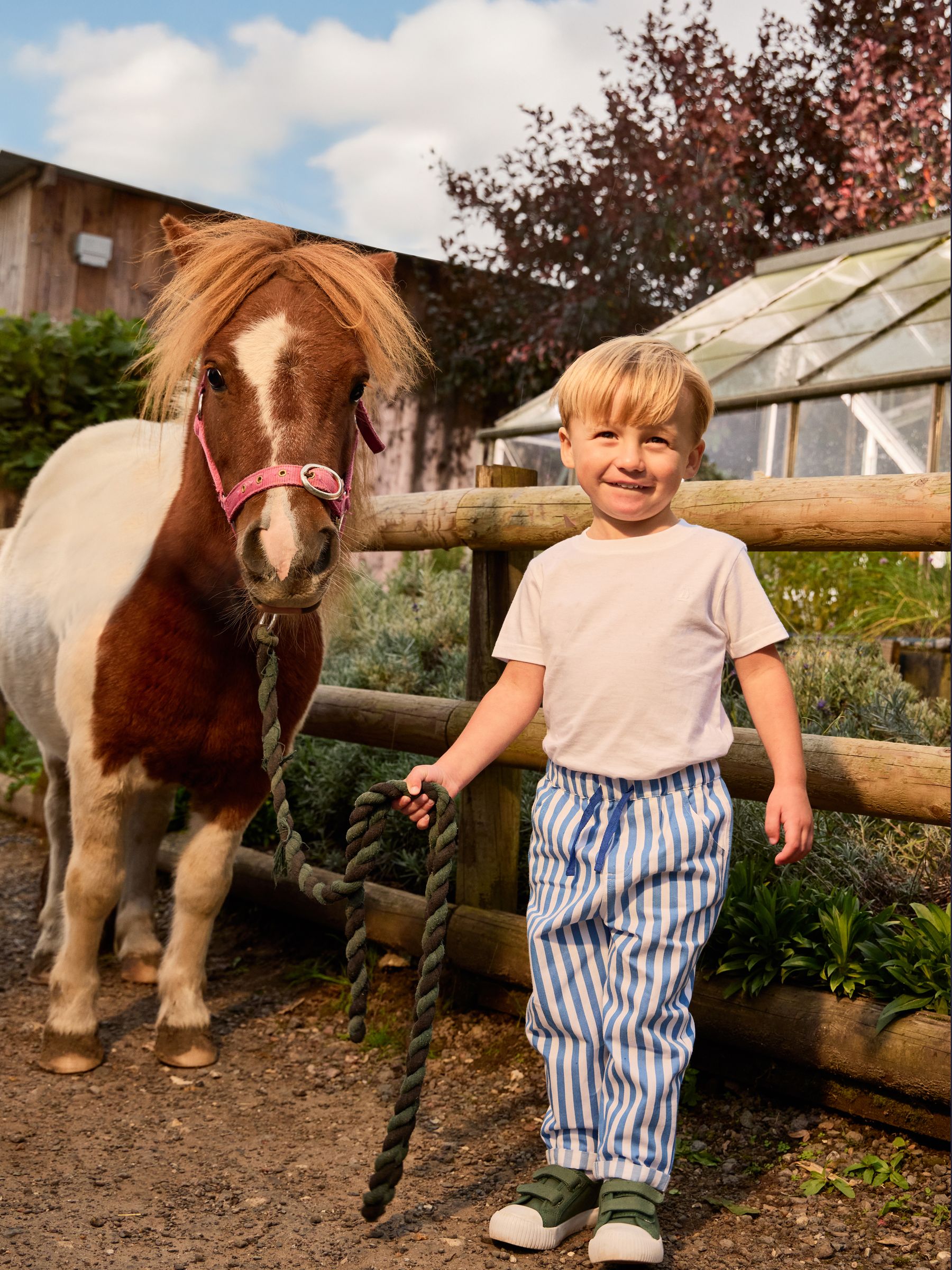 Blue Trousers - Image 1 of 4