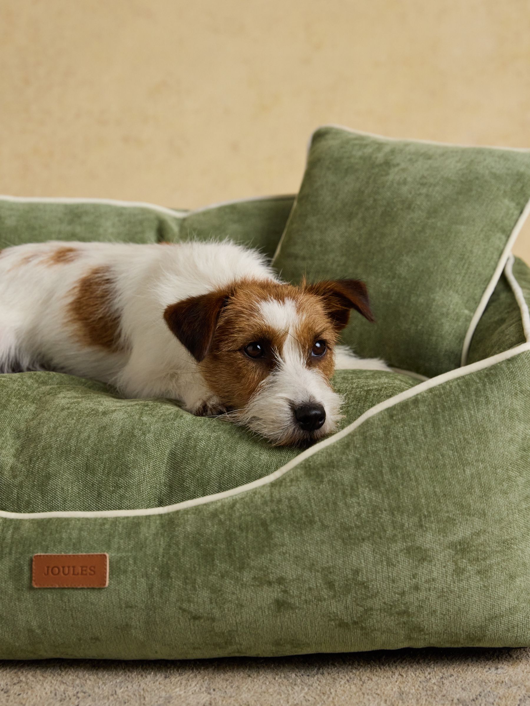 Apple Green Snuggler Pet Sofa - Image 2 of 8