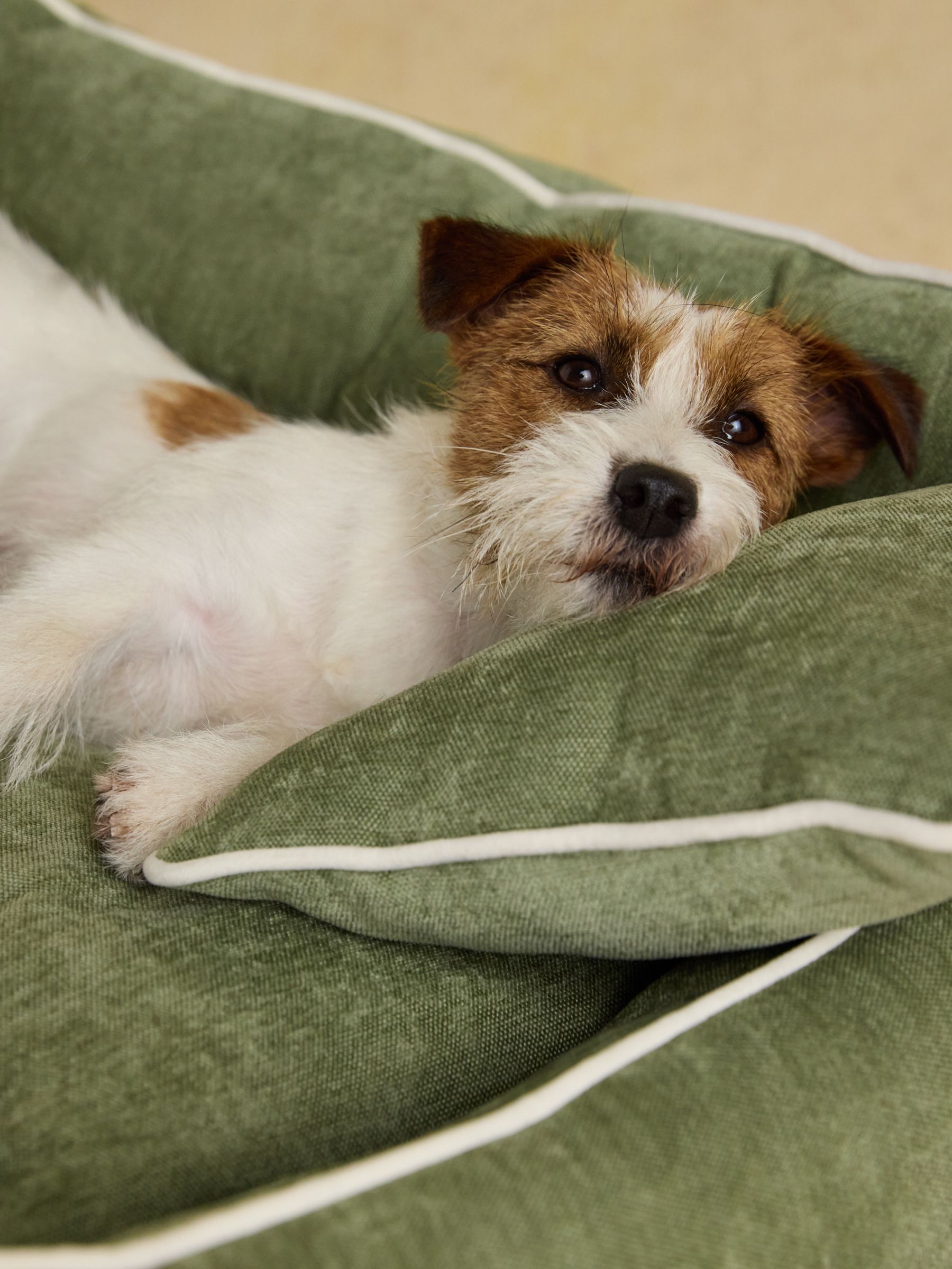 Apple Green Snuggler Pet Sofa - Image 3 of 8