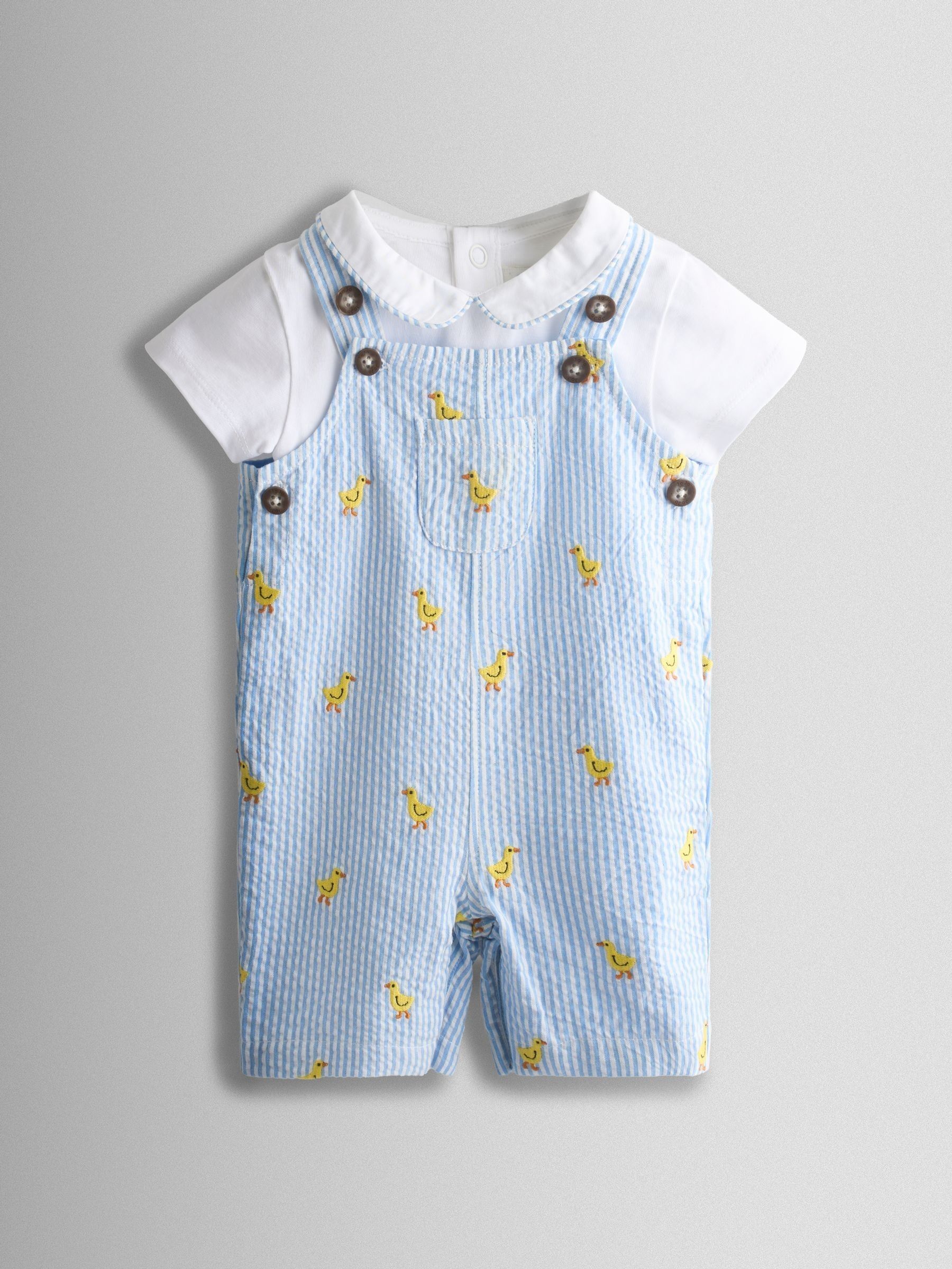 Light Blue 2-Piece Chick Embroidered Dungarees & Body Set - Image 1 of 6