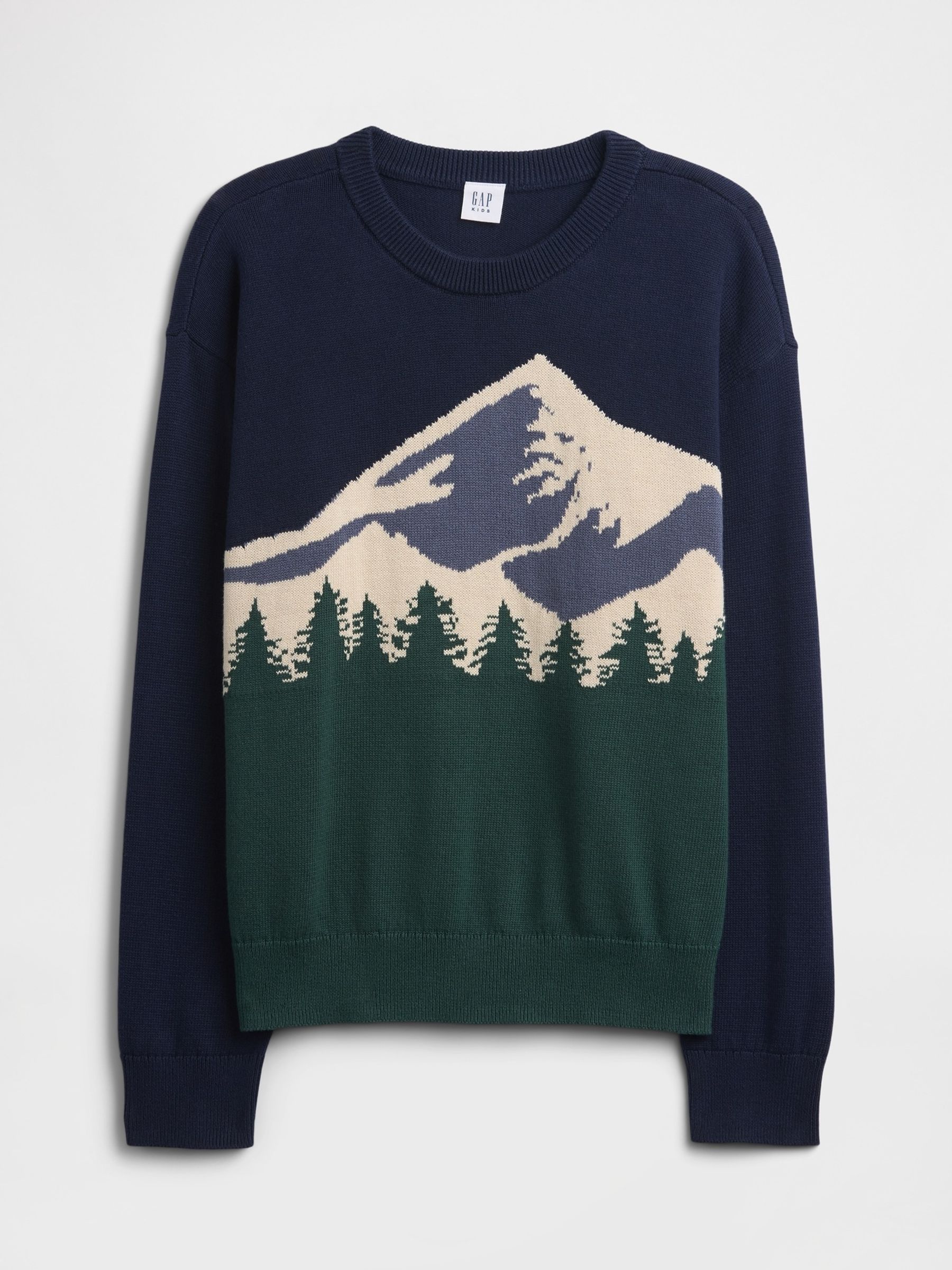 Navy/Green Intarsia Jumper (4-13yrs) - Image 1 of 3 Navy/Green Intarsia Jumper (4-13yrs) - Image 1 of 3