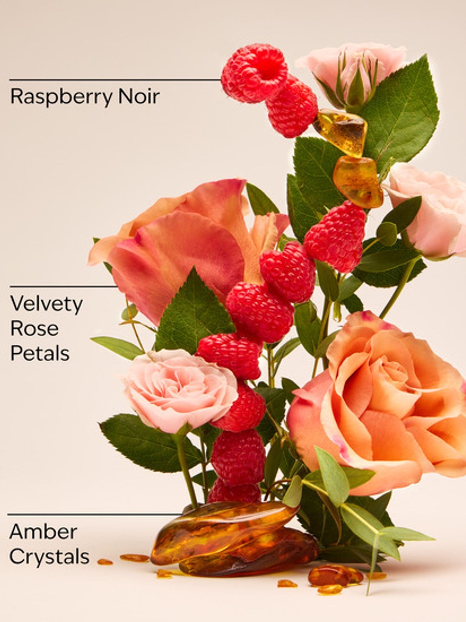 Into The Night Gift Set (Worth £66) - Image 2 of 2