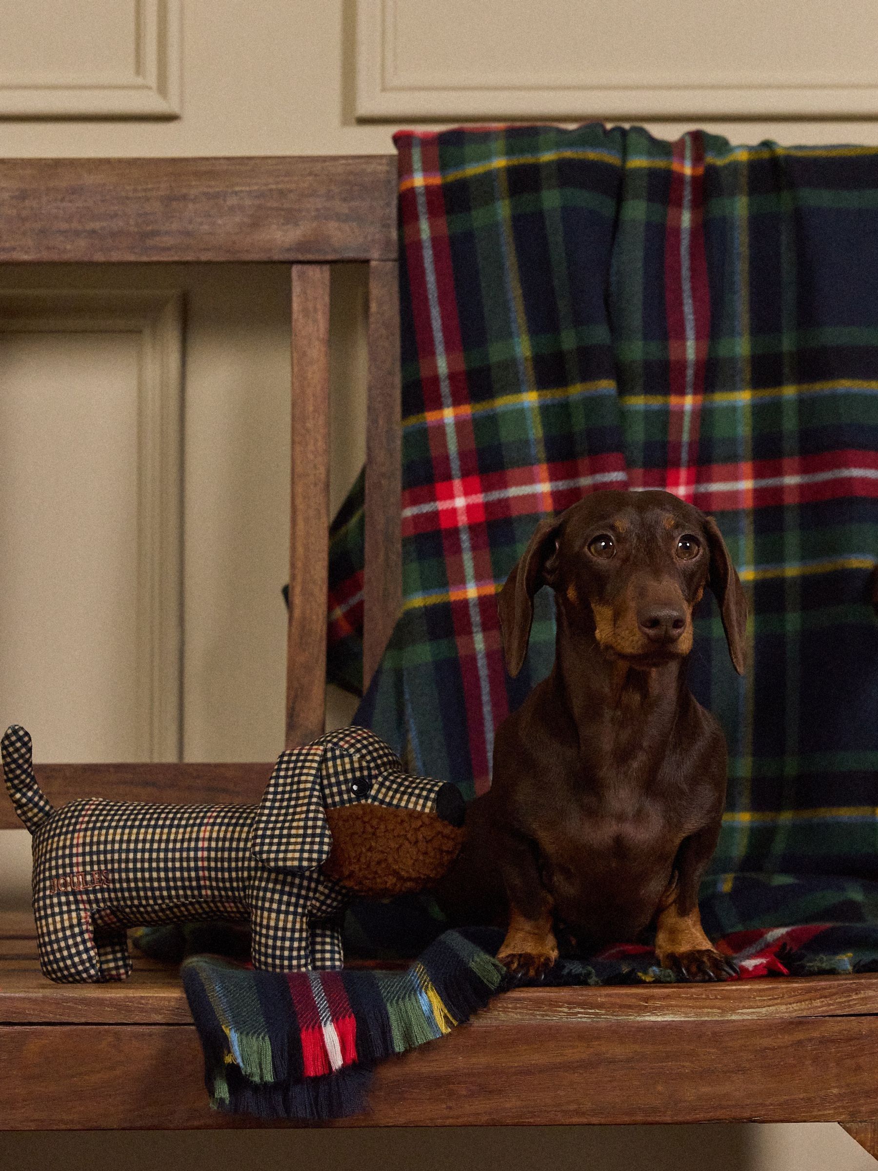 Henson Check Heritage Dog Toy - Image 1 of 9