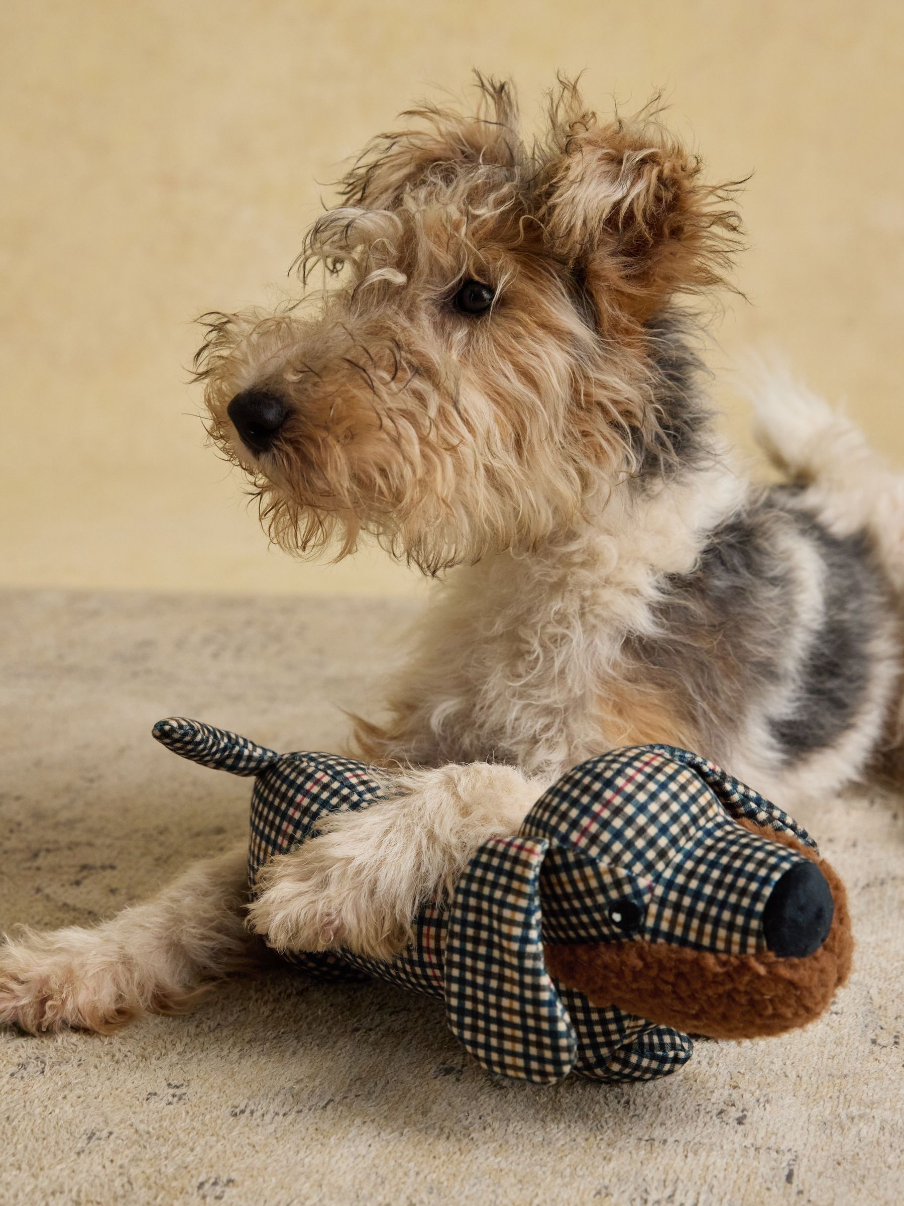 Henson Check Heritage Dog Toy - Image 4 of 9