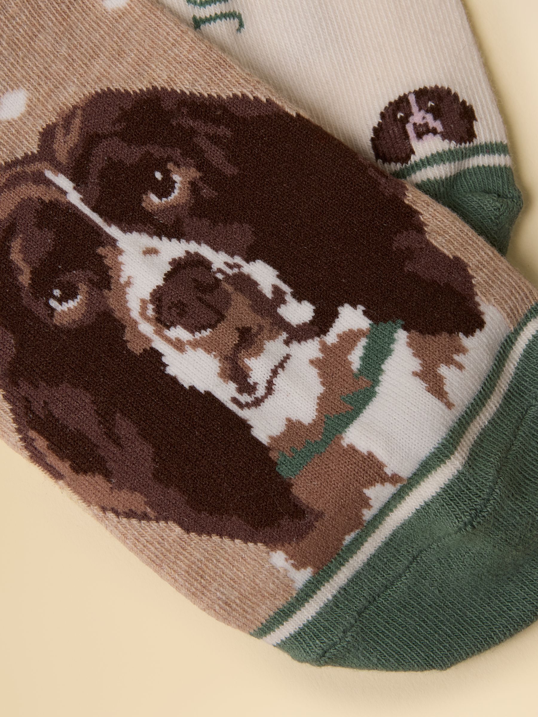 Women's Everyday Neutral Spaniel Cotton Blend Socks 2 Pack (size 4-8) - Image 3 of 3