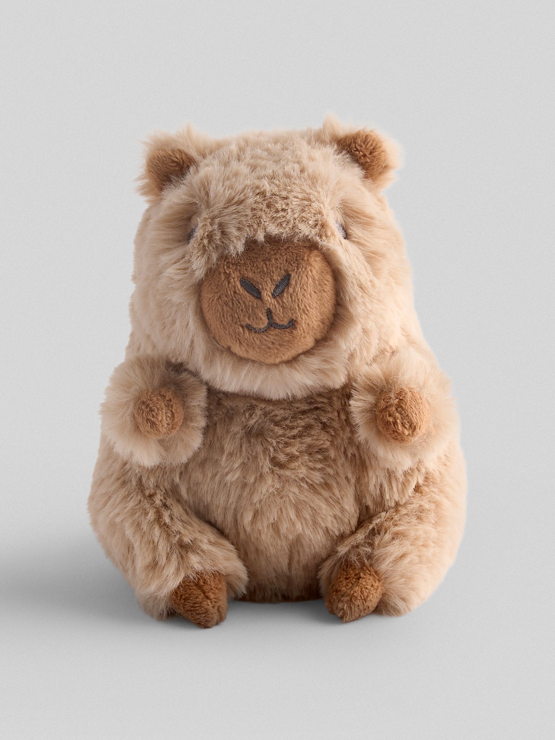 Barry Capybara Soft Toy Small - Image 1 of 3