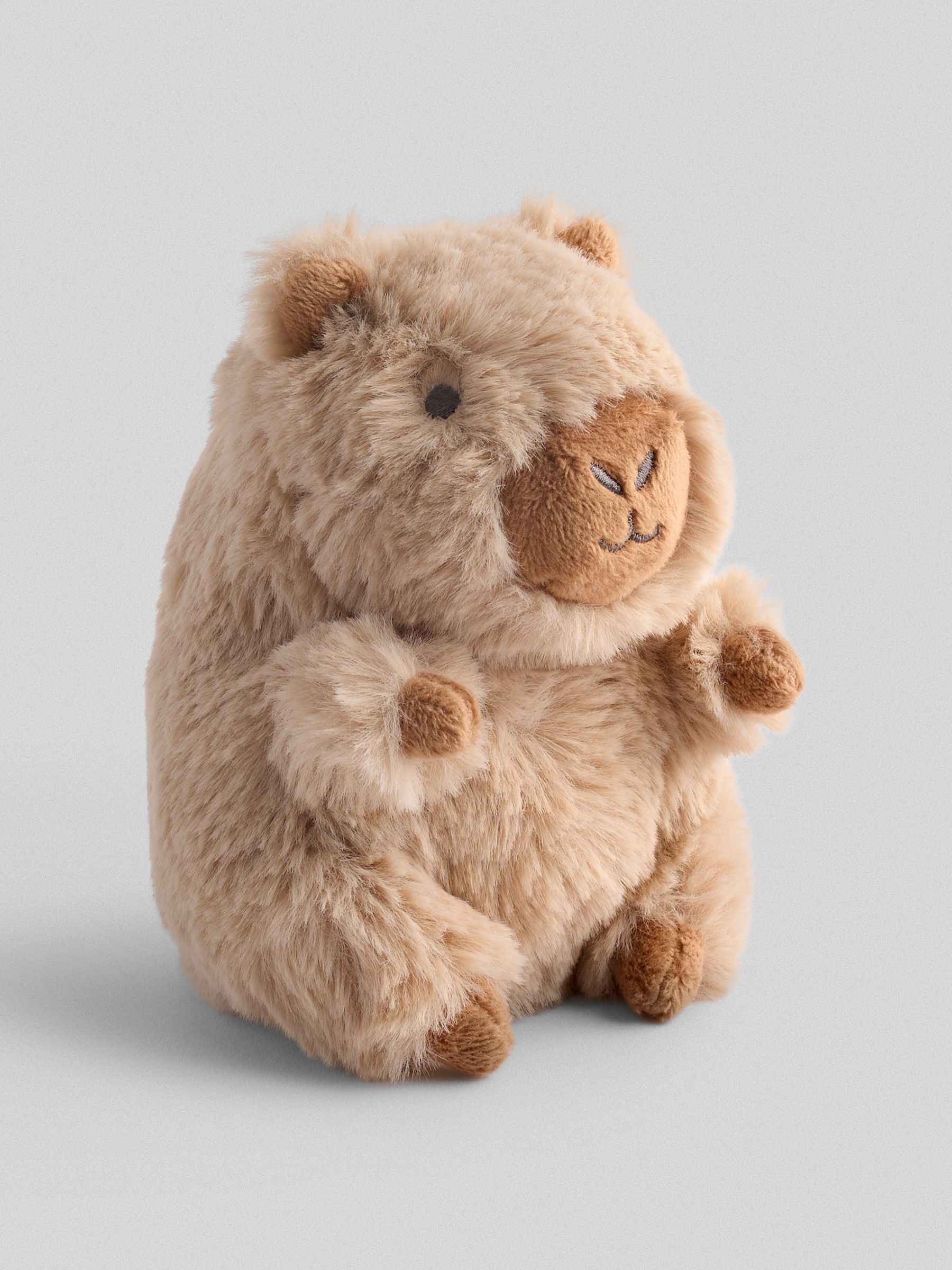 Barry Capybara Soft Toy Small - Image 2 of 3