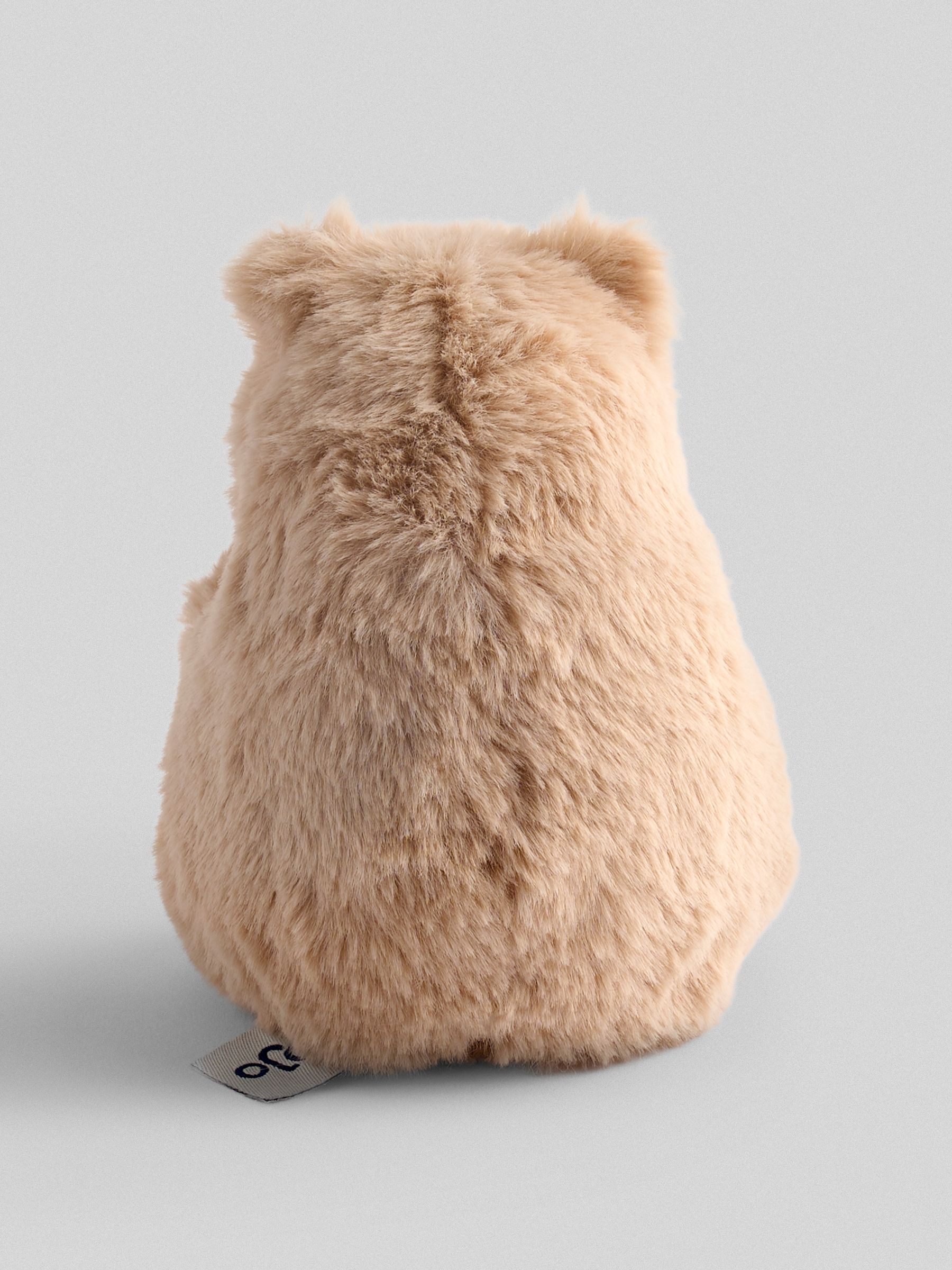 Barry Capybara Soft Toy Small - Image 3 of 3