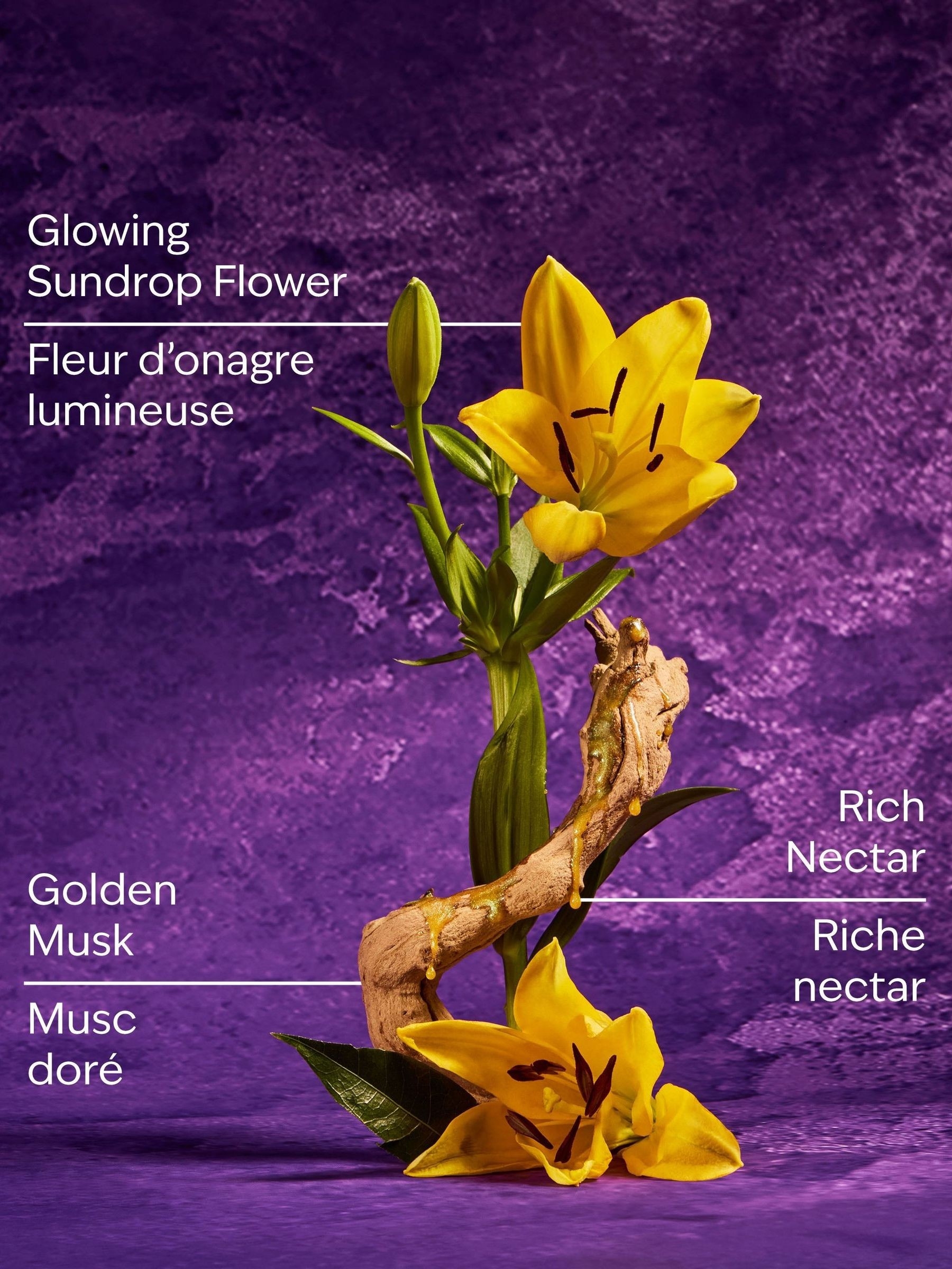 Rapunzel Fine Fragrance Mist 236ml - Image 3 of 4