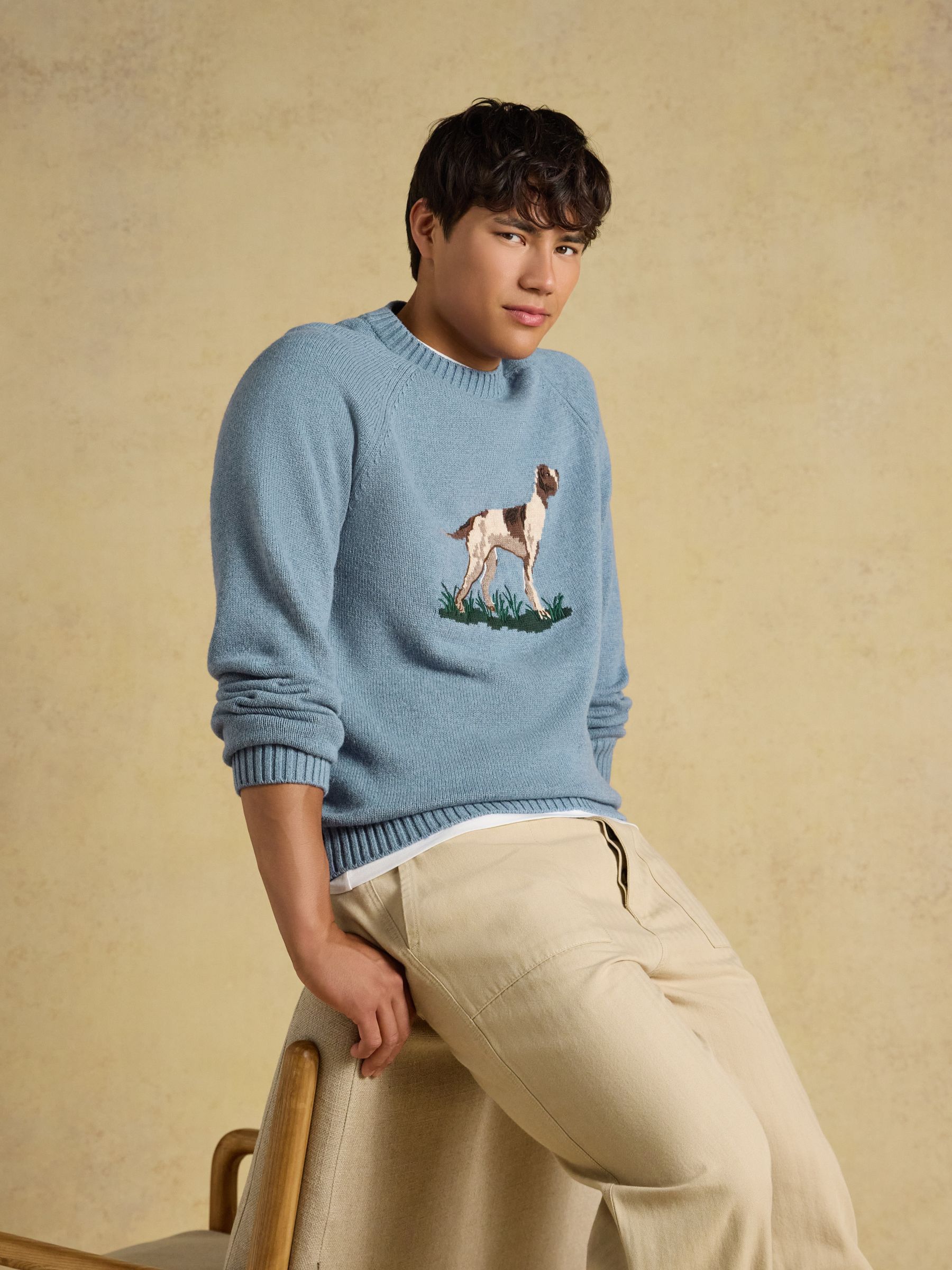 Intarsia Crew Neck Blue Dog Jumper - Image 6 of 7