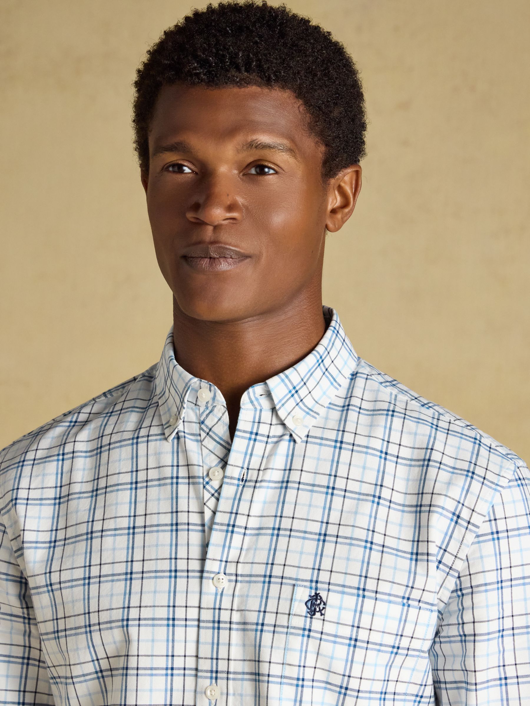 White & Blue Checked Classic Fit Cotton Oxford Shirt - Image 8 of 11