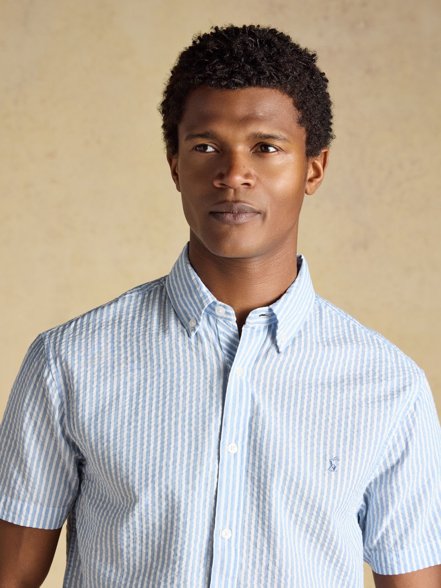 Seersucker Blue & White Striped Short Sleeve Classic Fit Cotton Shirt - Image 4 of 7