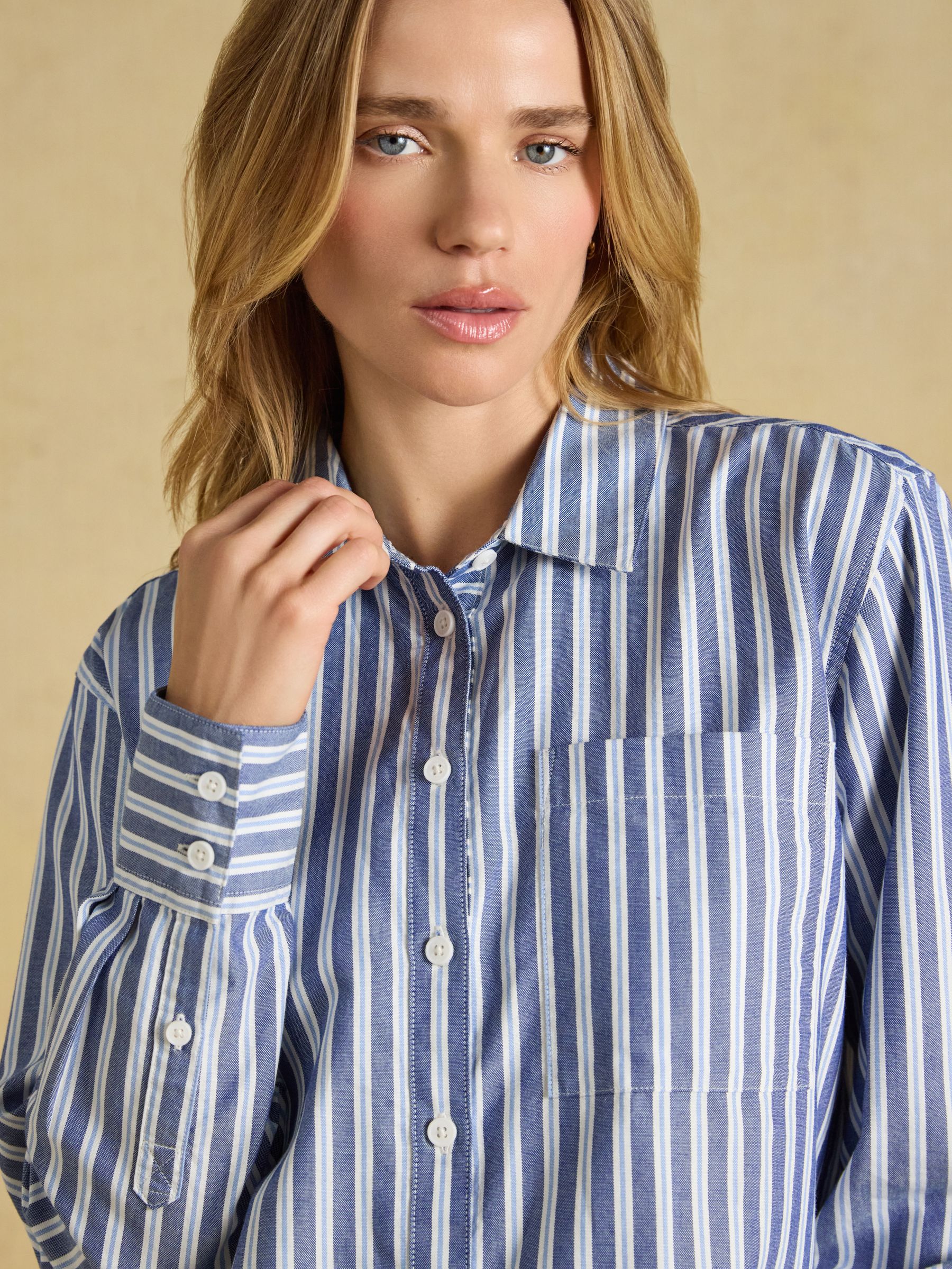 Boyfriend Oxford Blue Stripe Shirt - Image 4 of 8