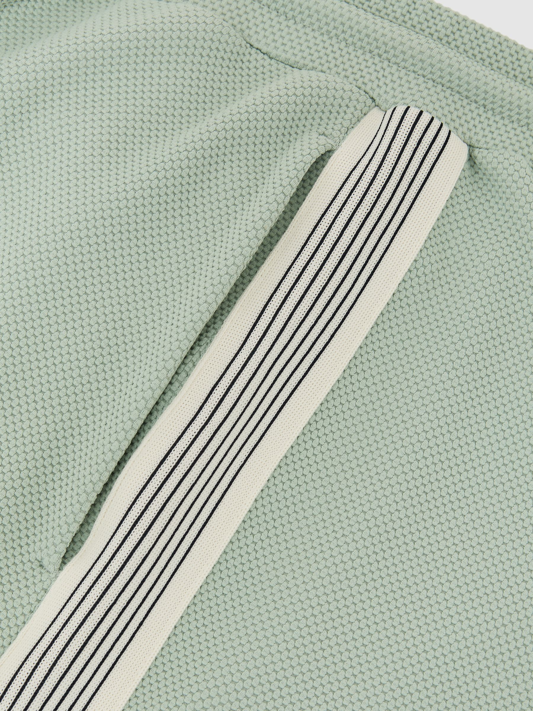 Textured Side-Stripe Drawstring Shorts in Mint Green - image 3