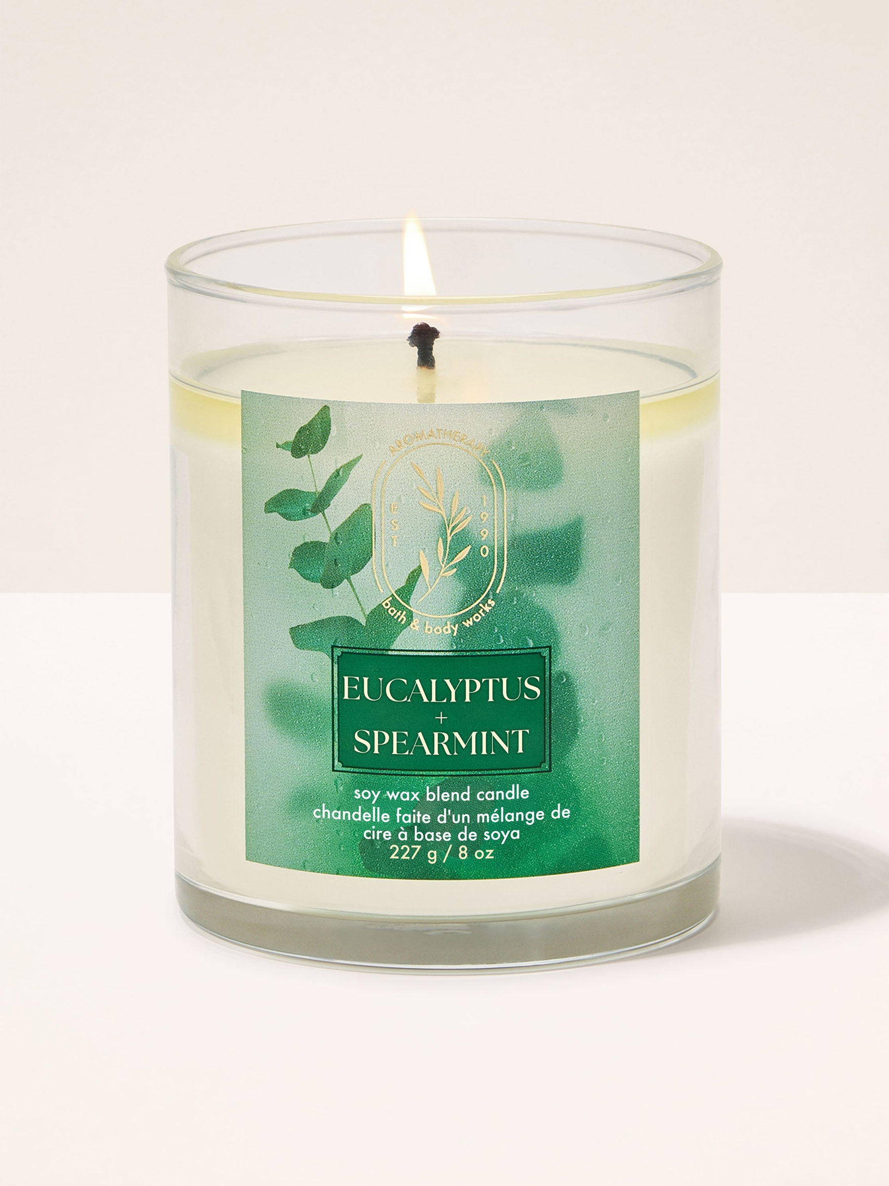 Eucalyptus Spearmint Single Wick Candle 227g - Image 1 of 2