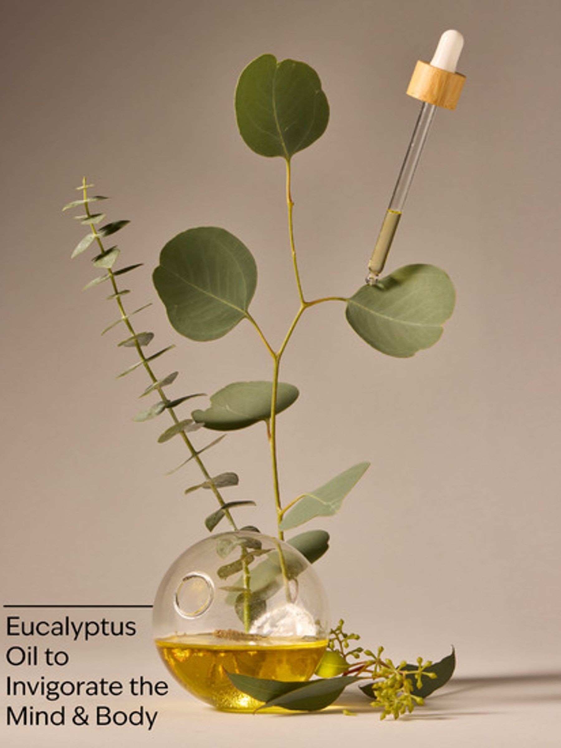Eucalyptus Ultimate Hydration Body Cream 226g - Image 2 of 2 Eucalyptus Ultimate Hydration Body Cream 226g - Image 2 of 2