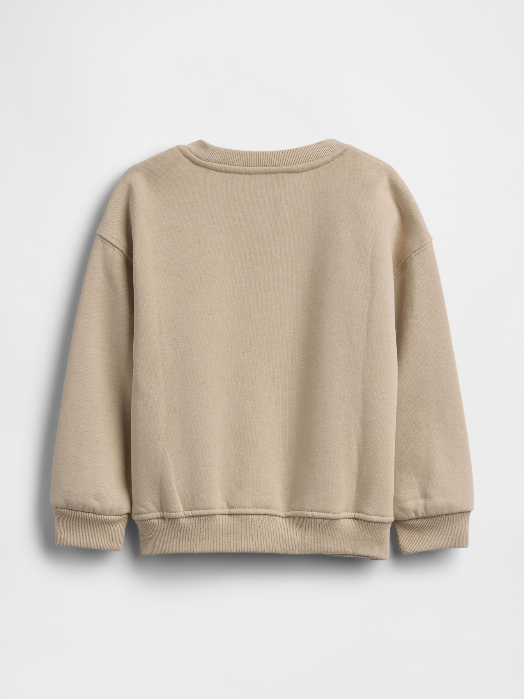 Brown VintageSoft Graphic Sweatshirt (6mths-5yrs) - Image 2 of 2