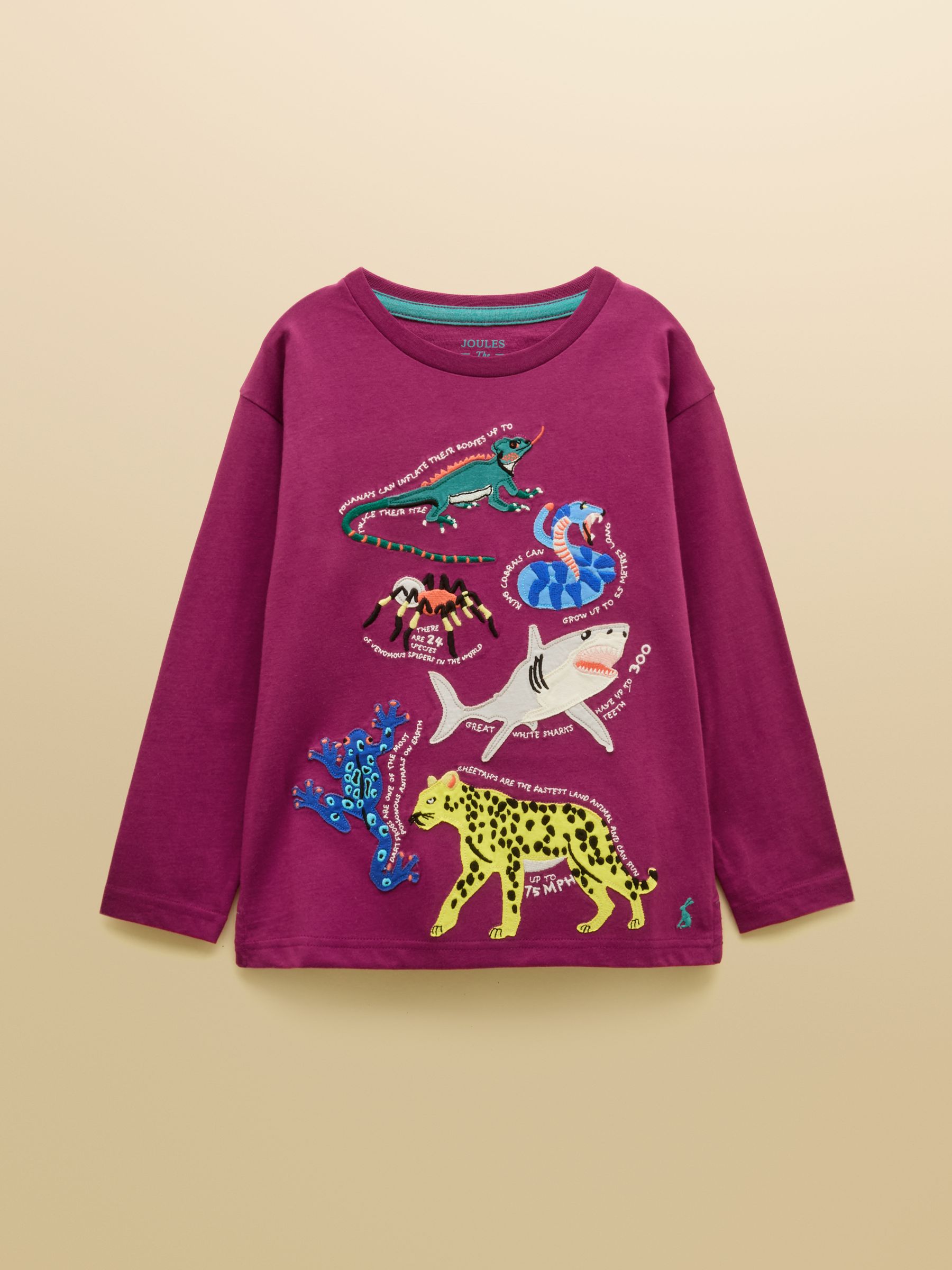 Boys' Finlay Purple Long Sleeve Applique Graphic T-Shirt - Image 1 of 4